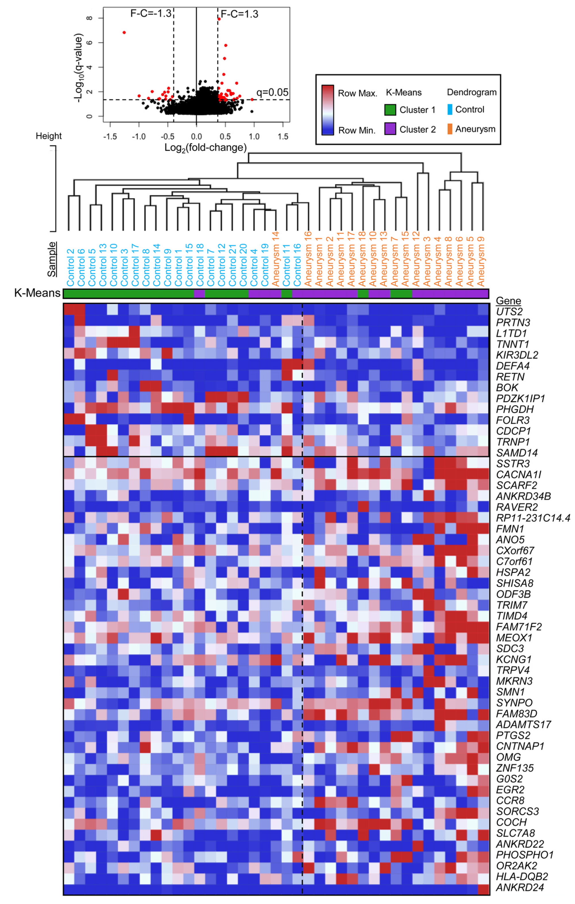 Diagnostics 11 01092 g001