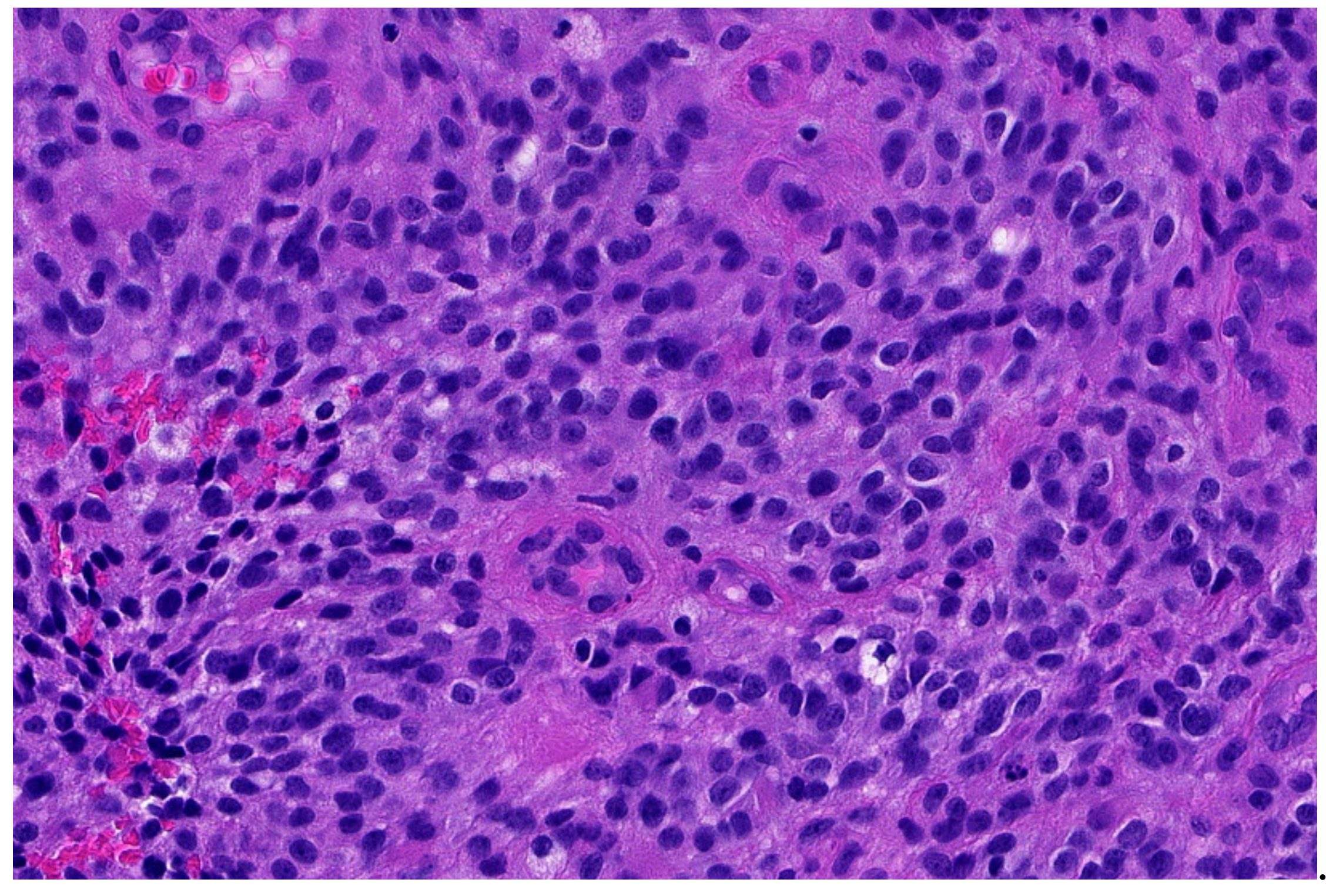 Diagnostics 11 01093 g003 Diagnostics 11 01093 g003