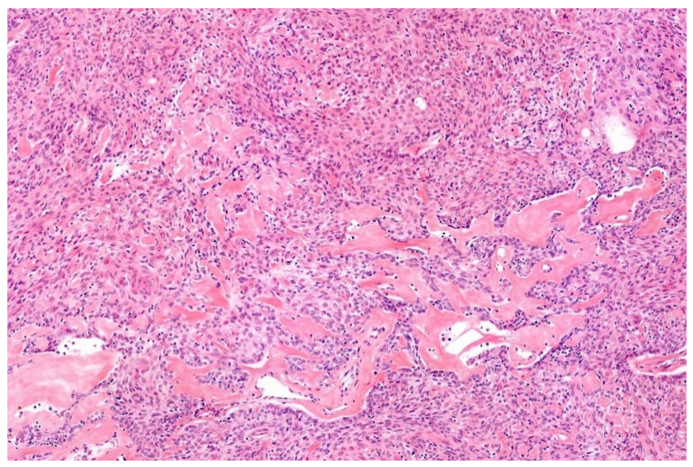 Diagnostics 11 01093 g010 Diagnostics 11 01093 g010