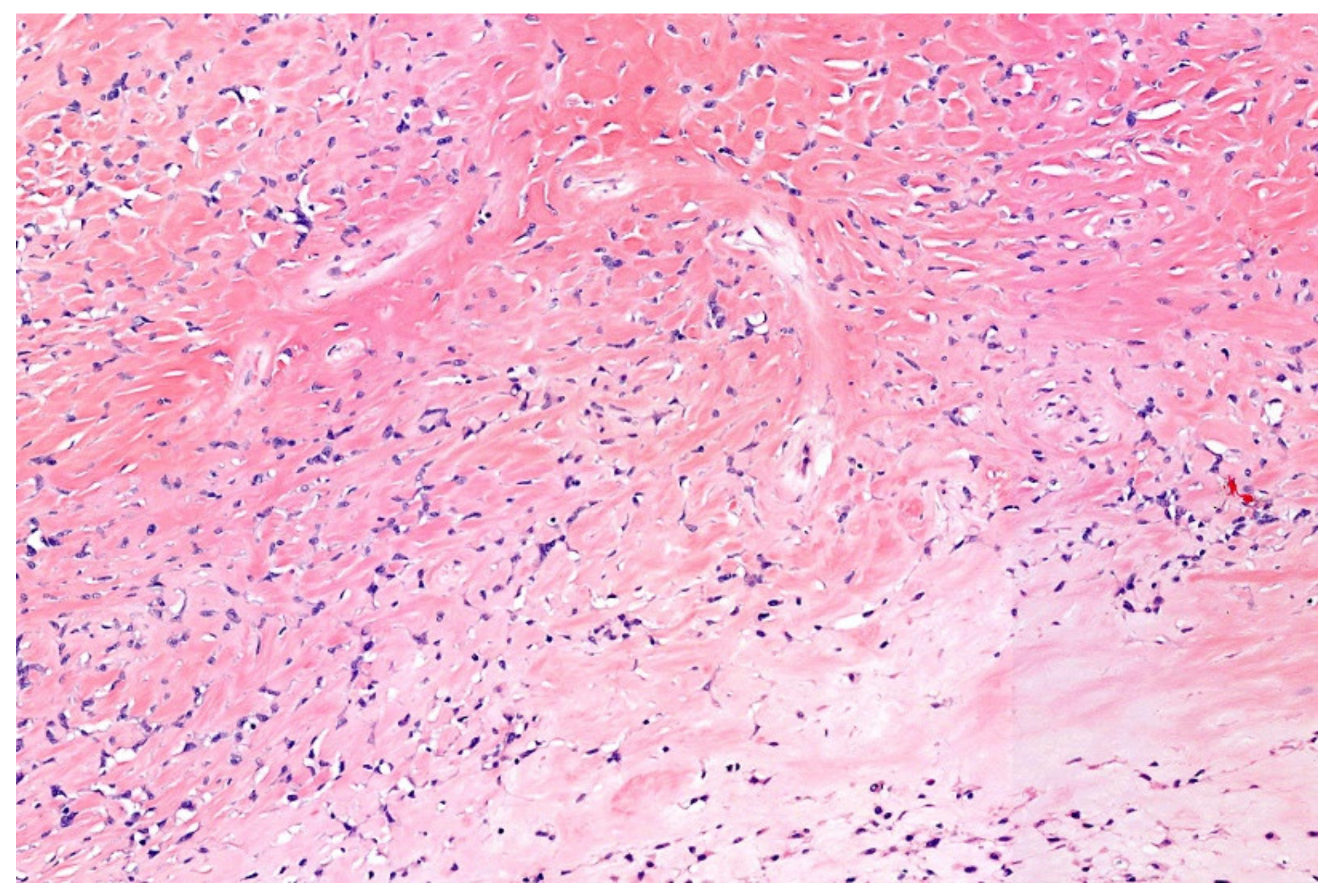 Diagnostics 11 01093 g012 Diagnostics 11 01093 g012