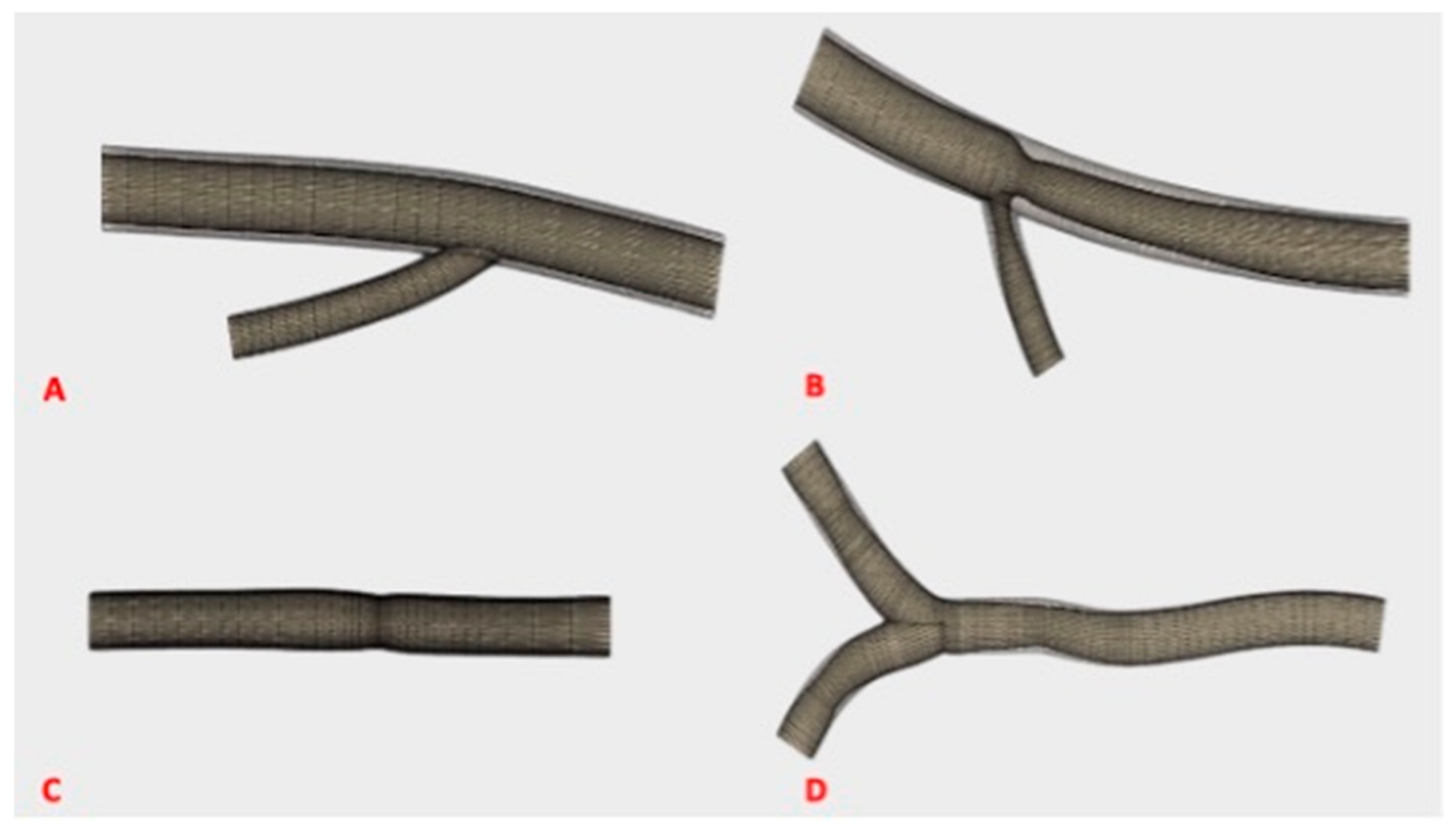 Diagnostics 11 01106 g001