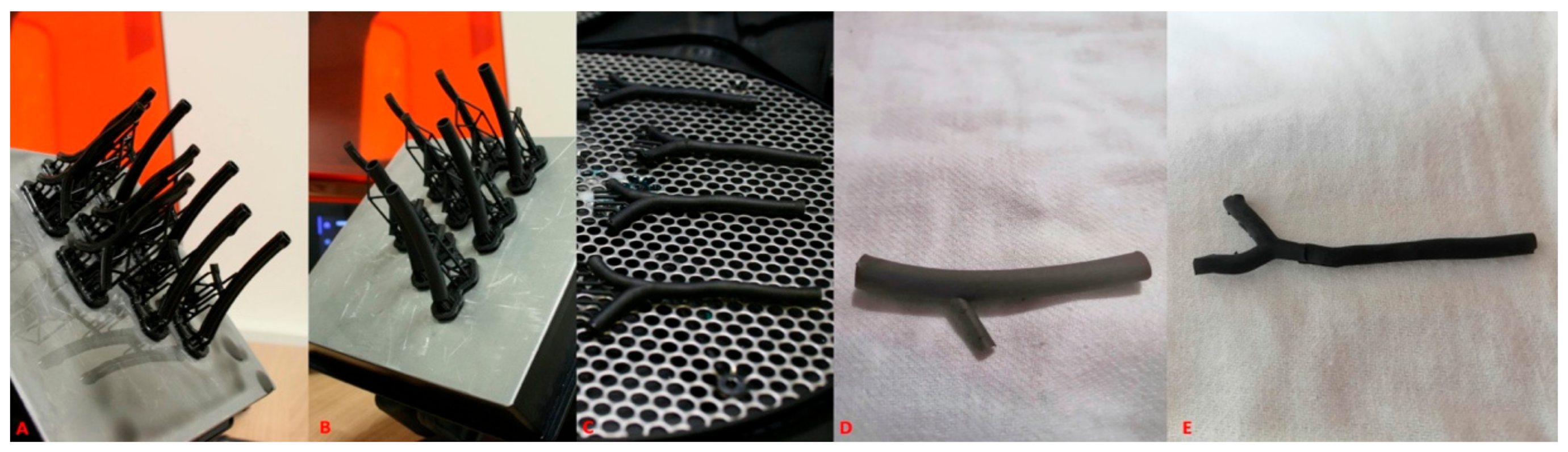 Diagnostics 11 01106 g002