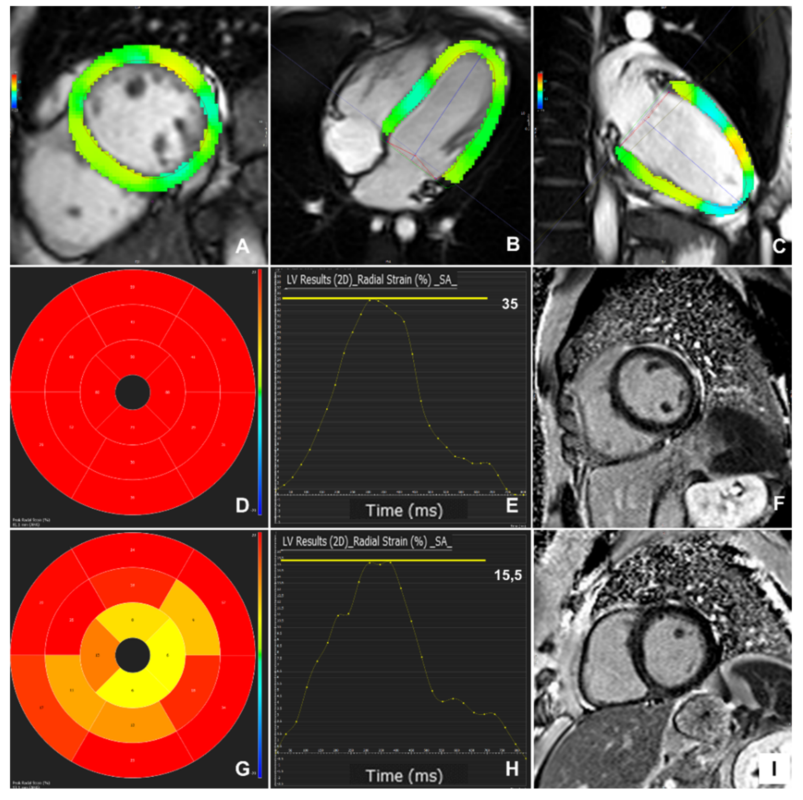Diagnostics 11 01109 g002