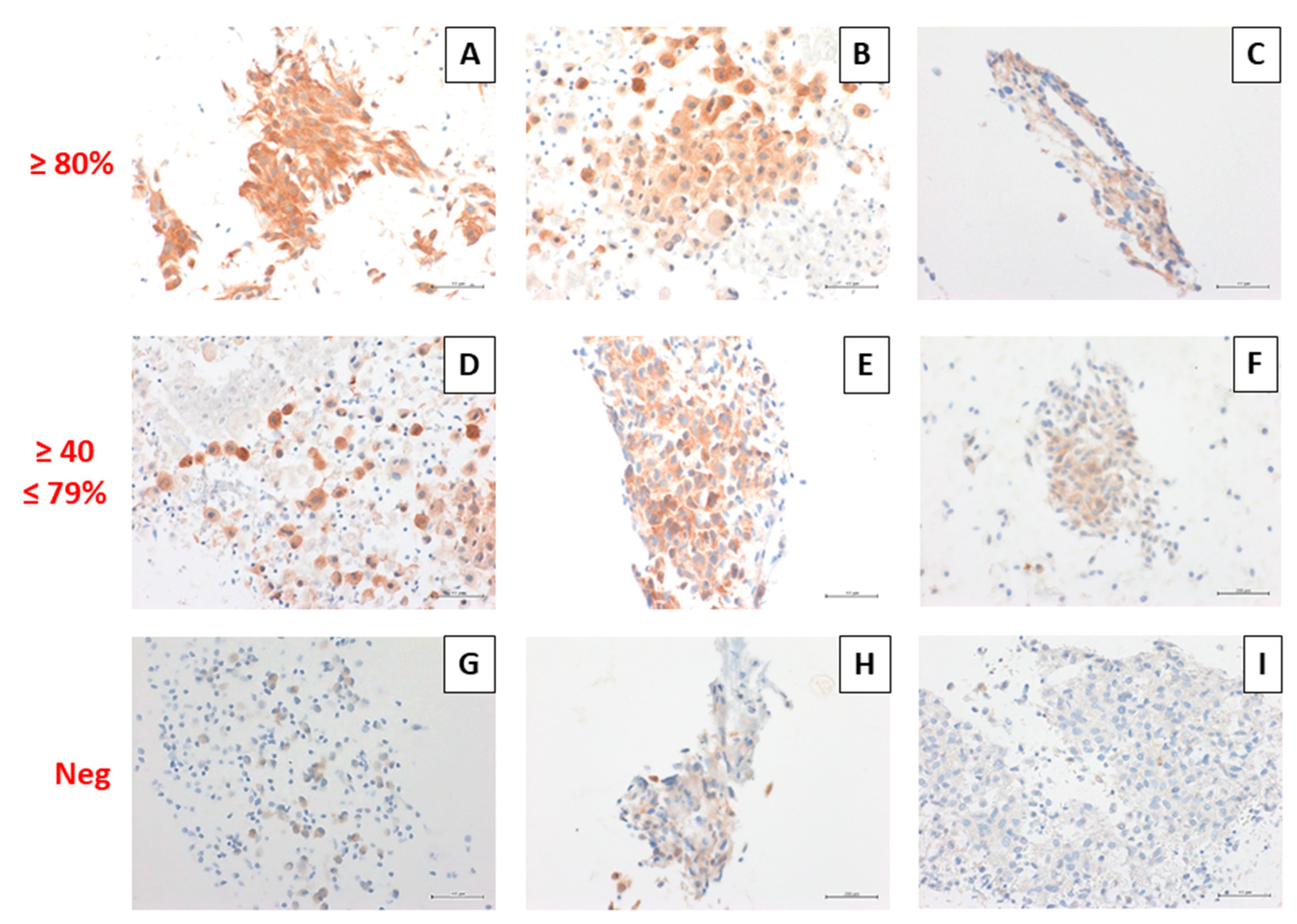 Diagnostics 11 01110 g003
