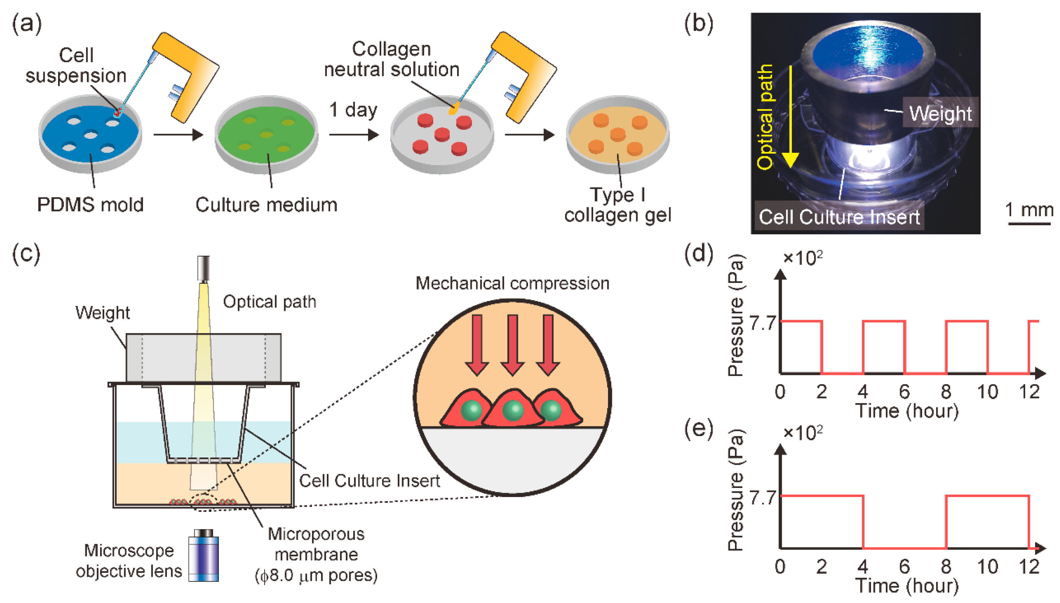 Diagnostics 11 01112 g001 Diagnostics 11 01112 g001