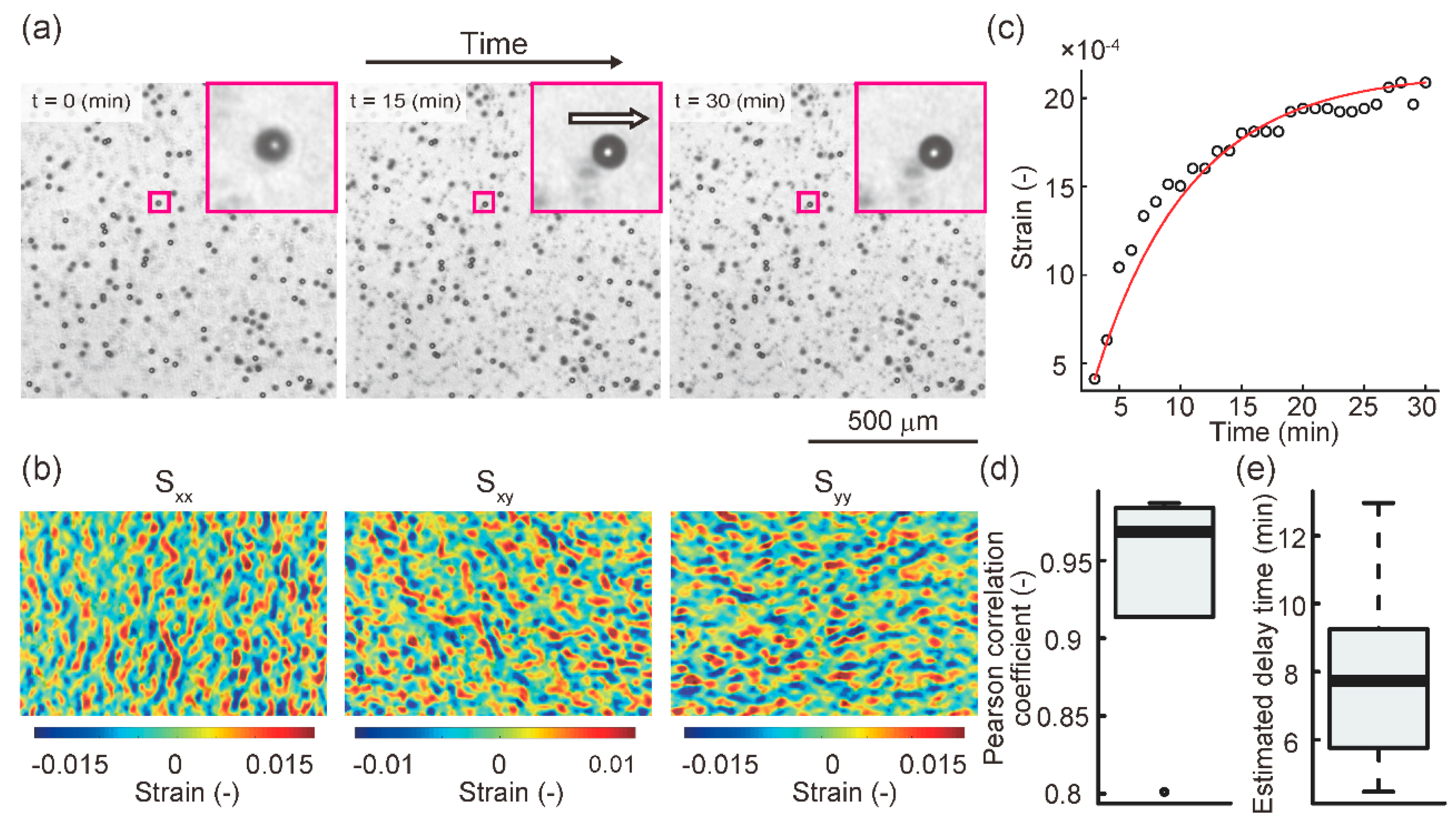 Diagnostics 11 01112 g003 Diagnostics 11 01112 g003