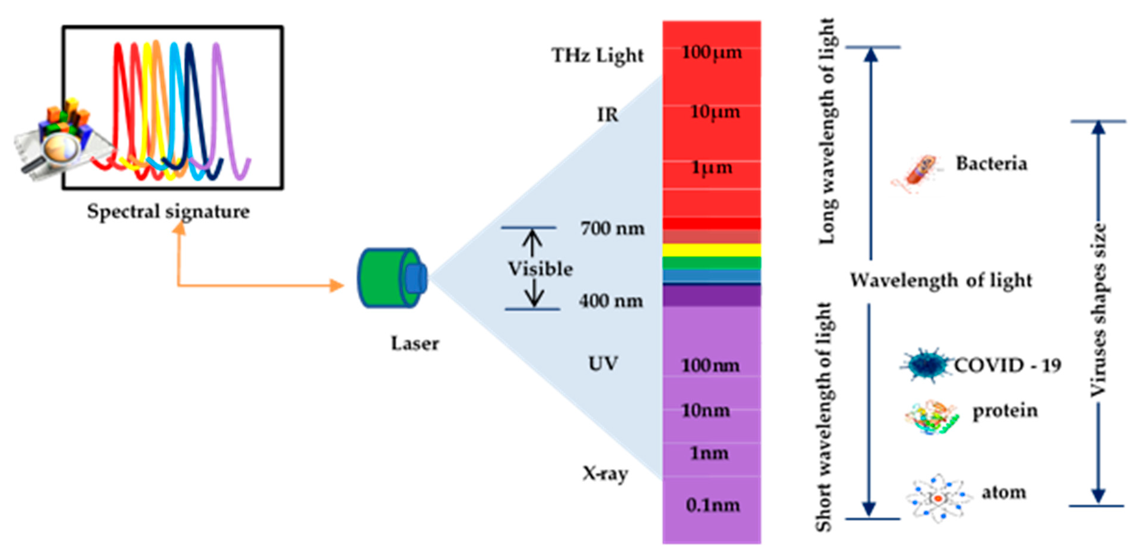 Diagnostics 11 01119 g002