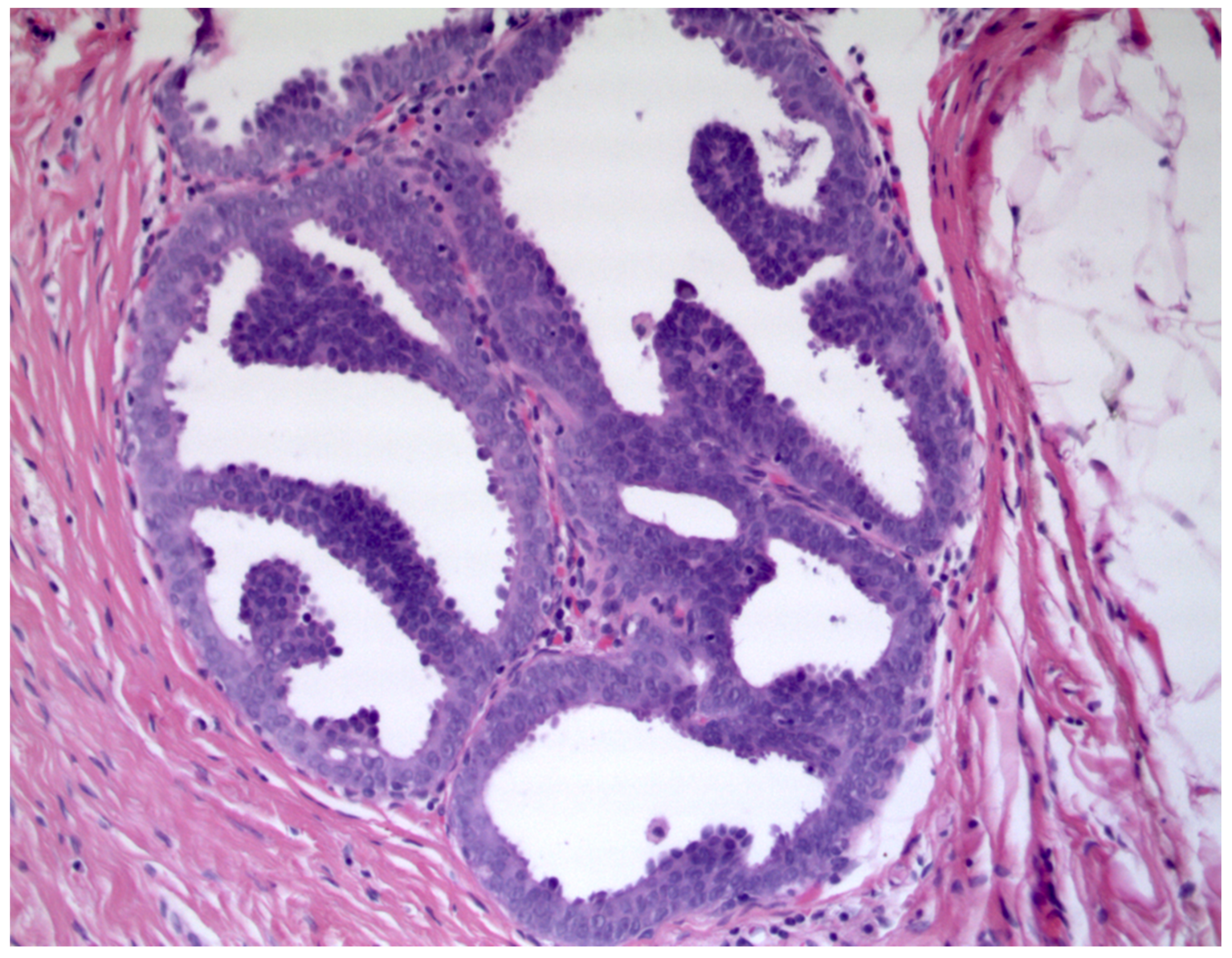 Diagnostics 11 01120 g001 Diagnostics 11 01120 g001