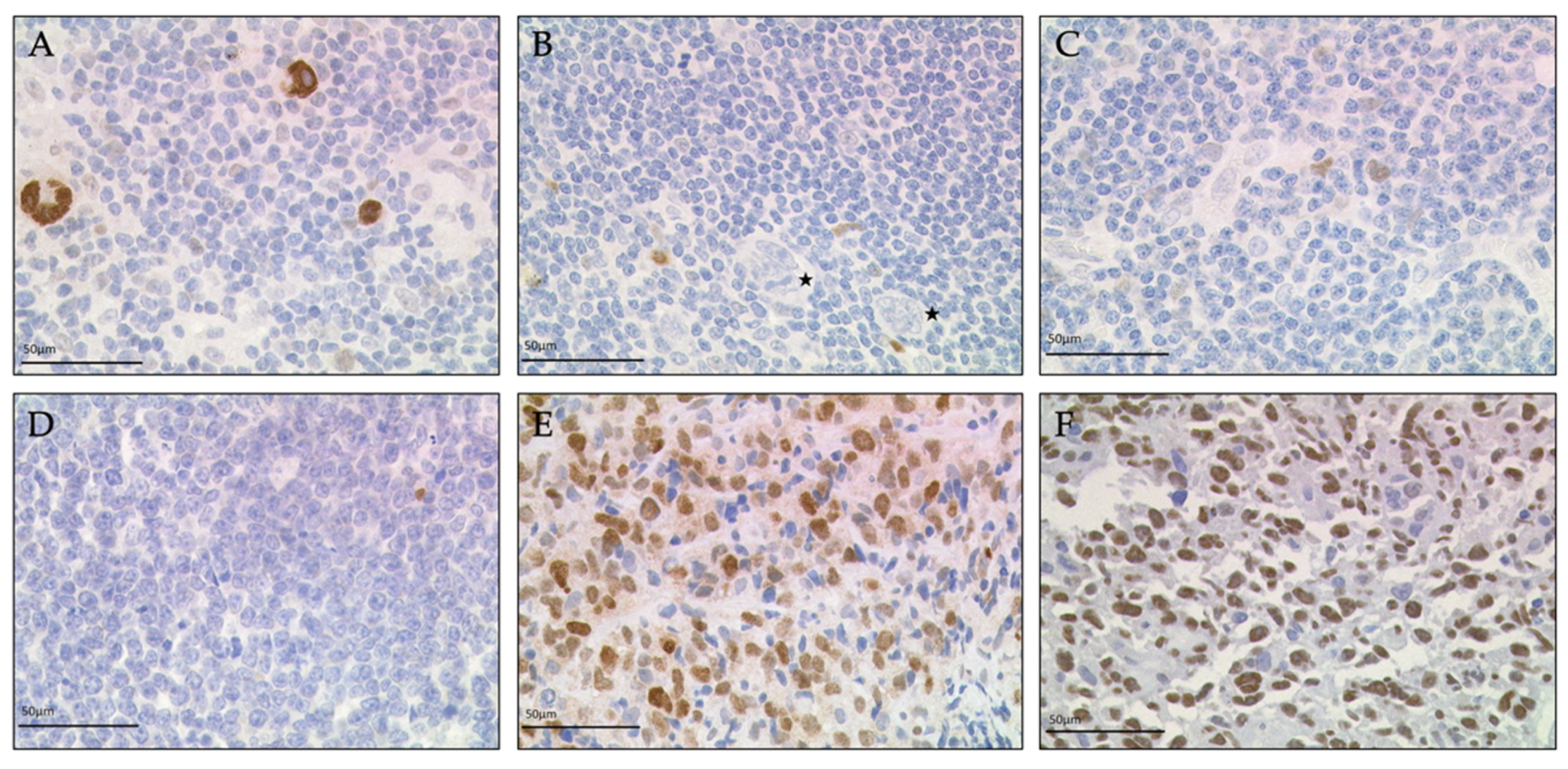 Diagnostics 11 01123 g001