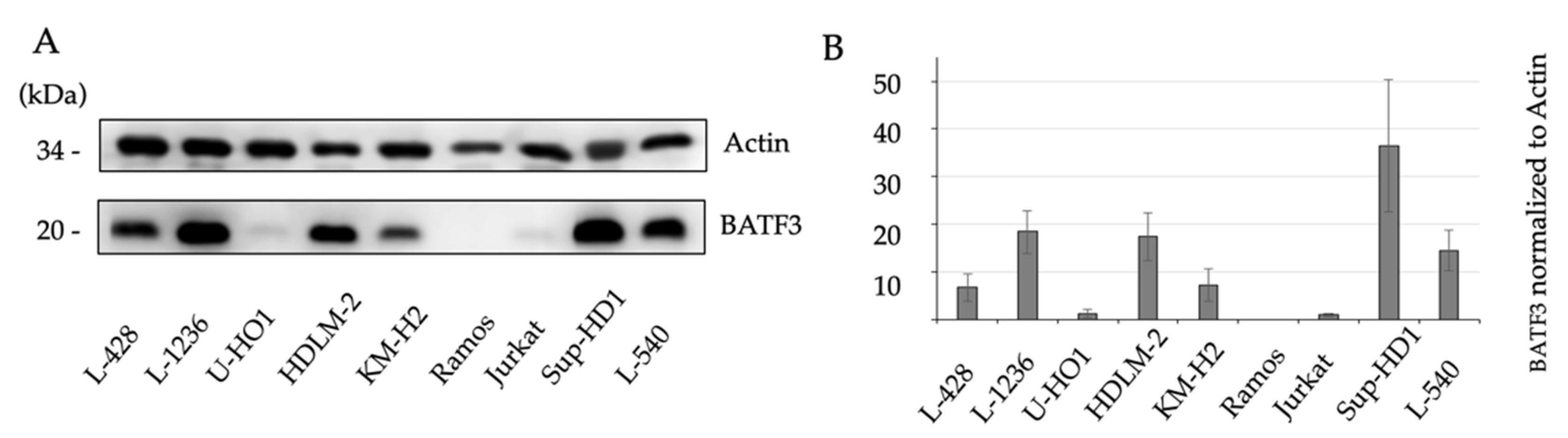 Diagnostics 11 01123 g003