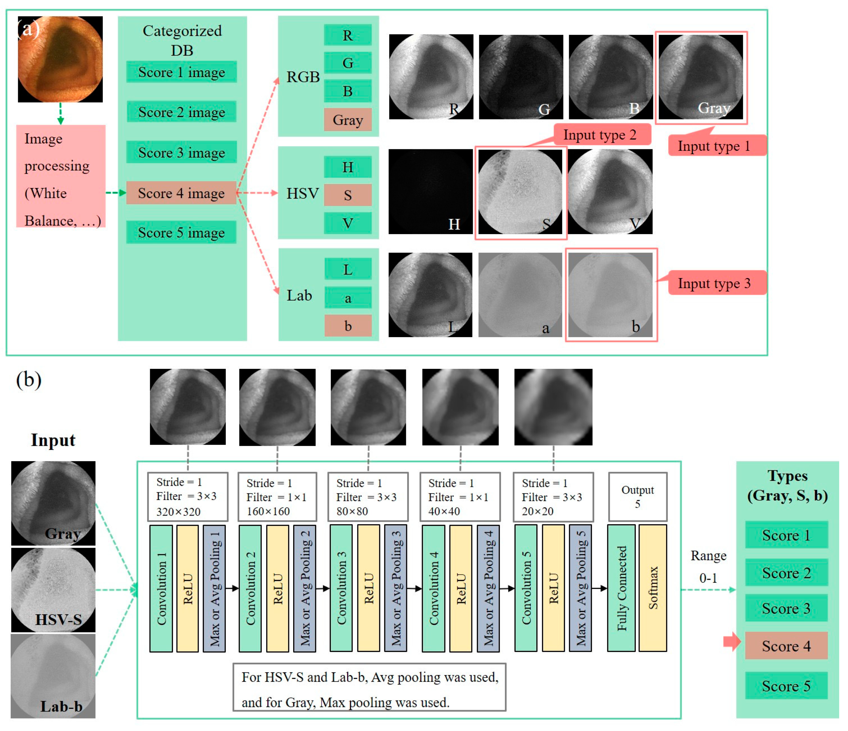 Diagnostics 11 01127 g003