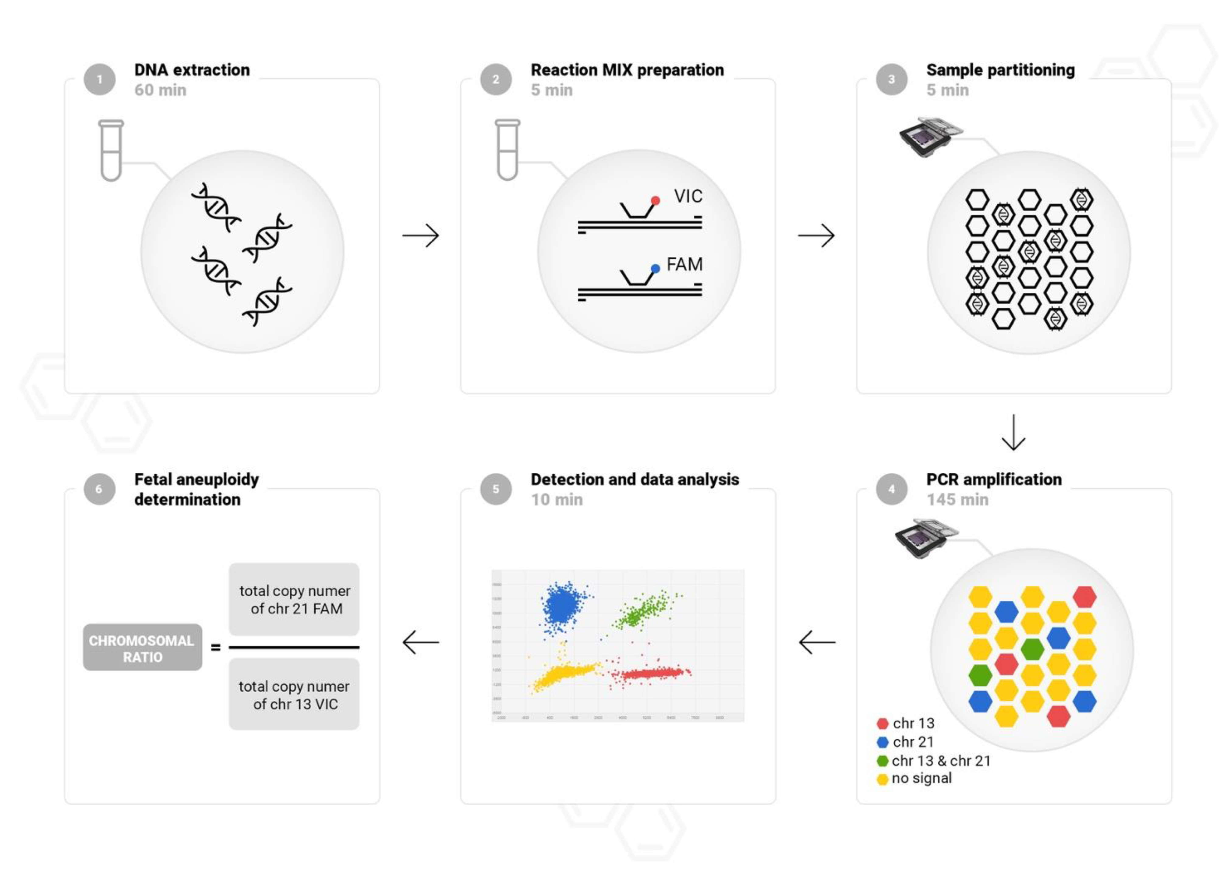 Diagnostics 11 01131 g001