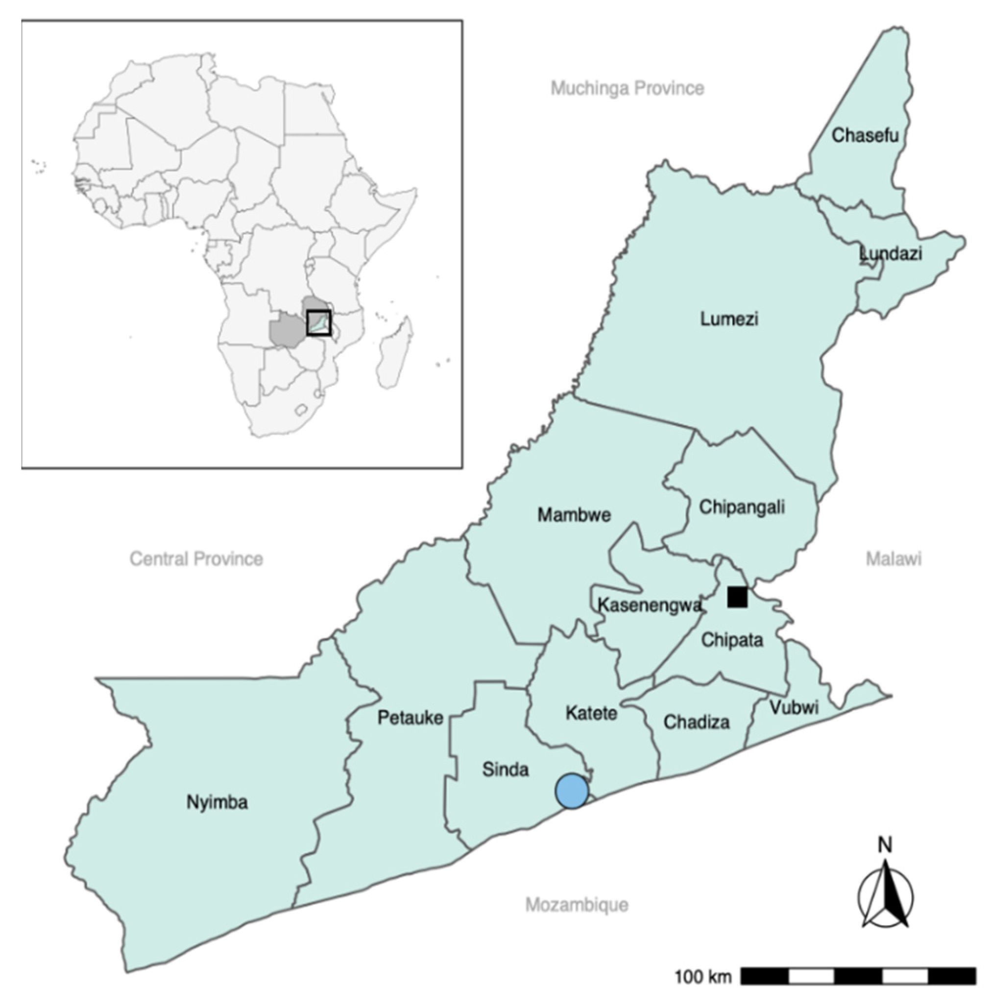 Diagnostics 11 01138 g002 550