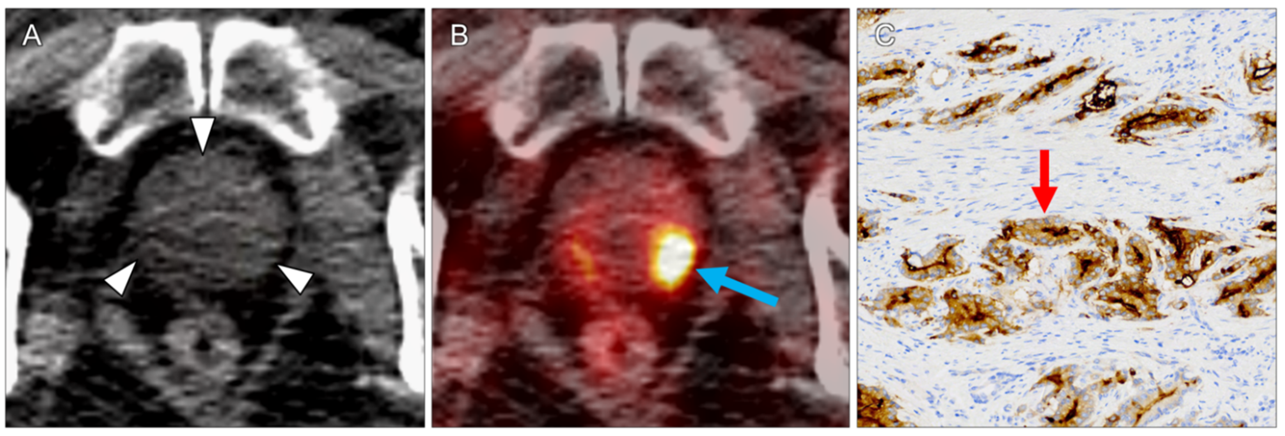 Diagnostics 11 01142 g004 550