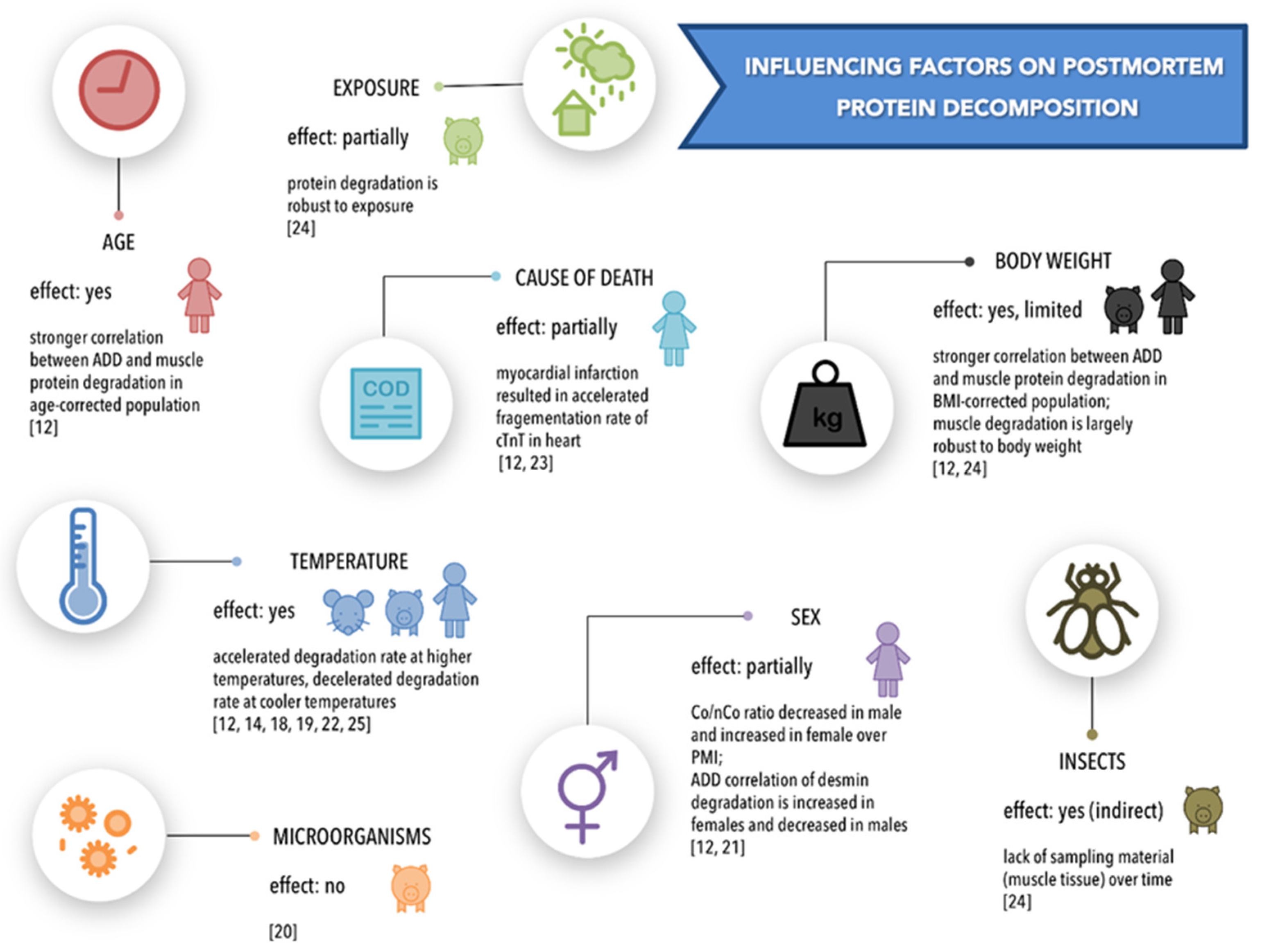 Diagnostics 11 01146 g004 Diagnostics 11 01146 g004