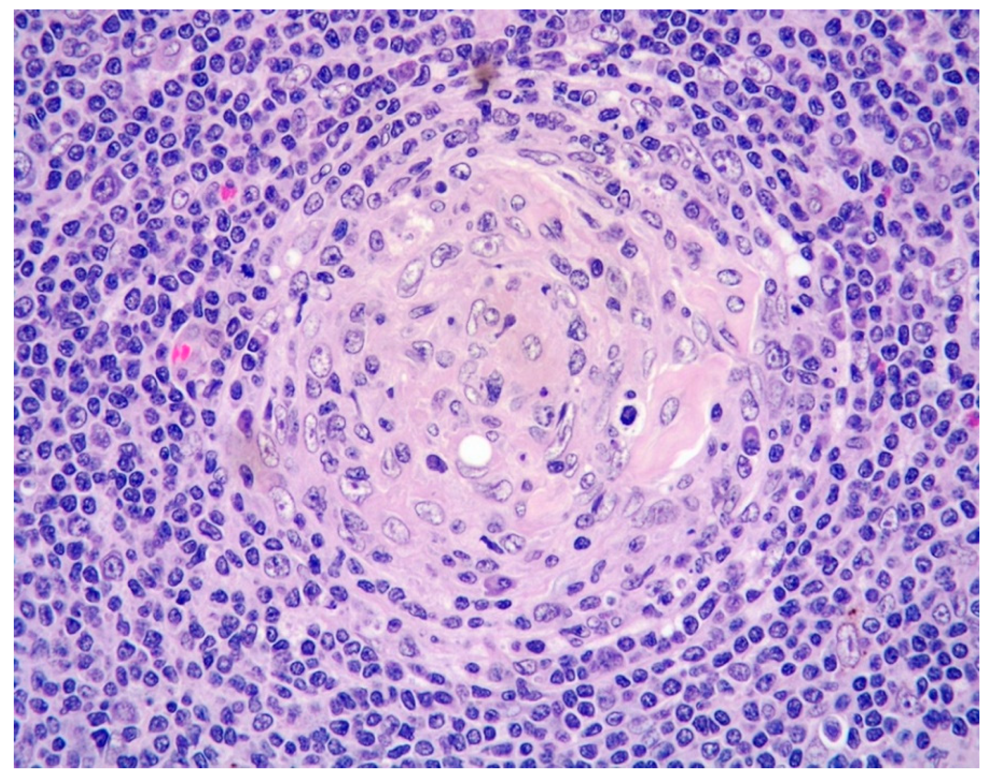 Diagnostics 11 01150 g003 550