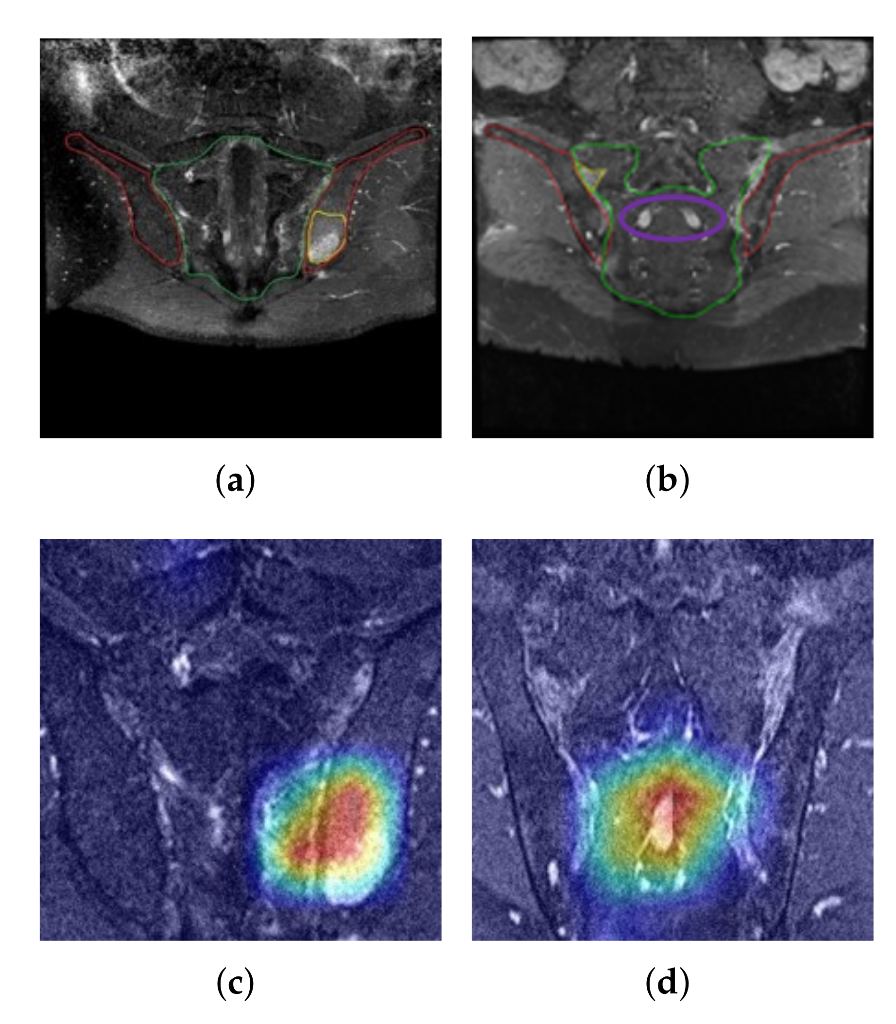 Diagnostics 11 01156 g008