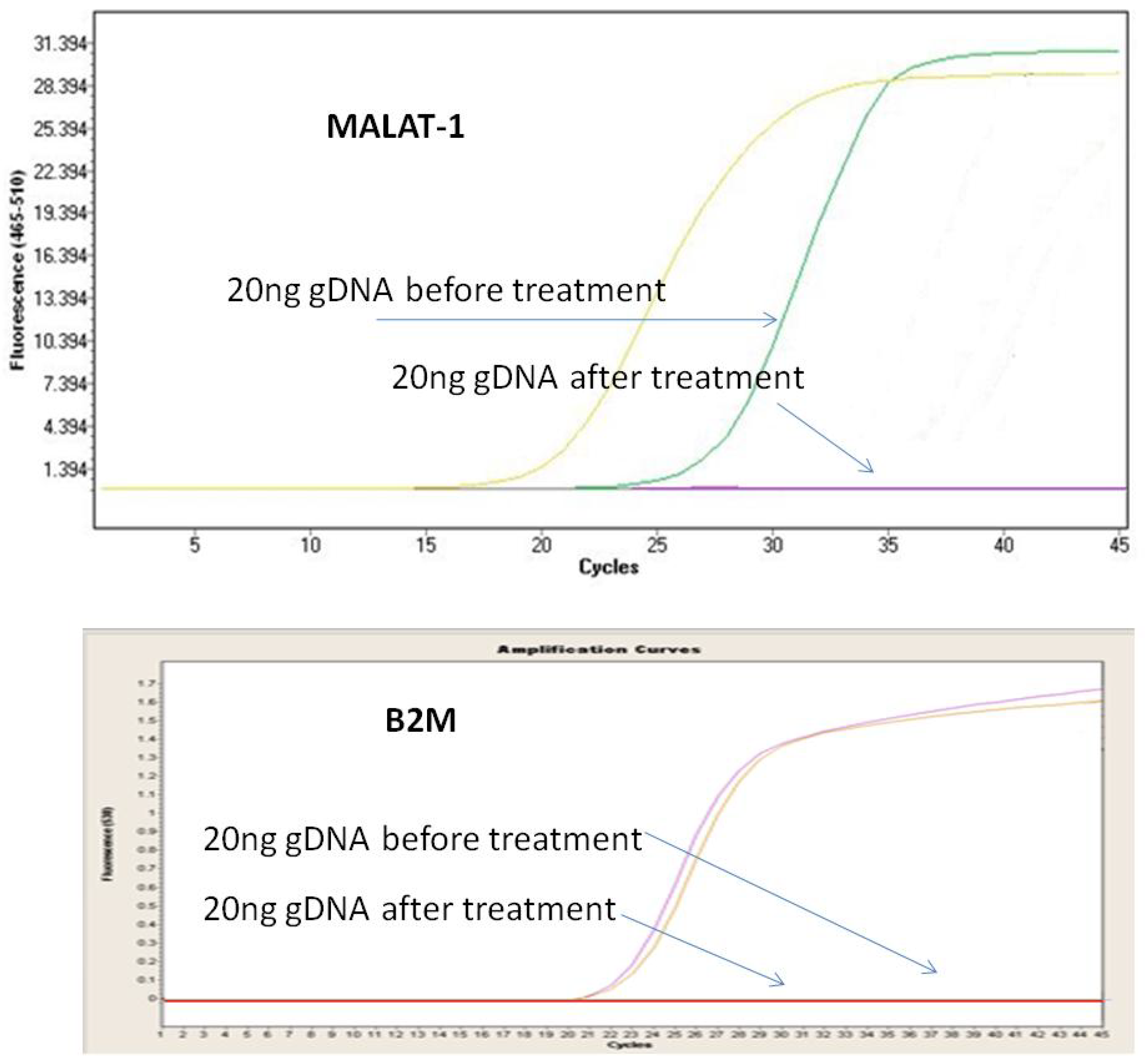 Diagnostics 11 01160 g002 550