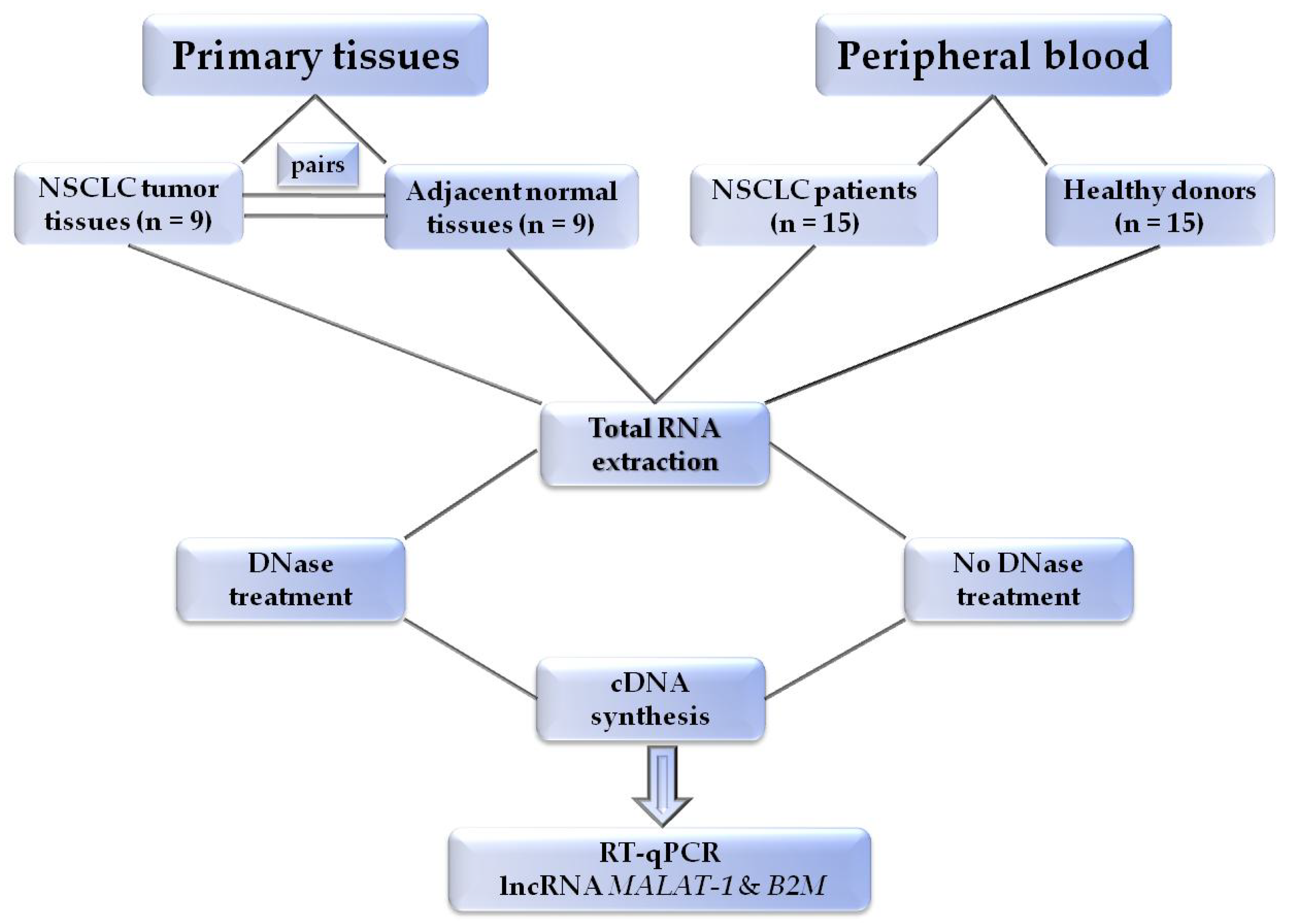 Diagnostics 11 01160 g003 550