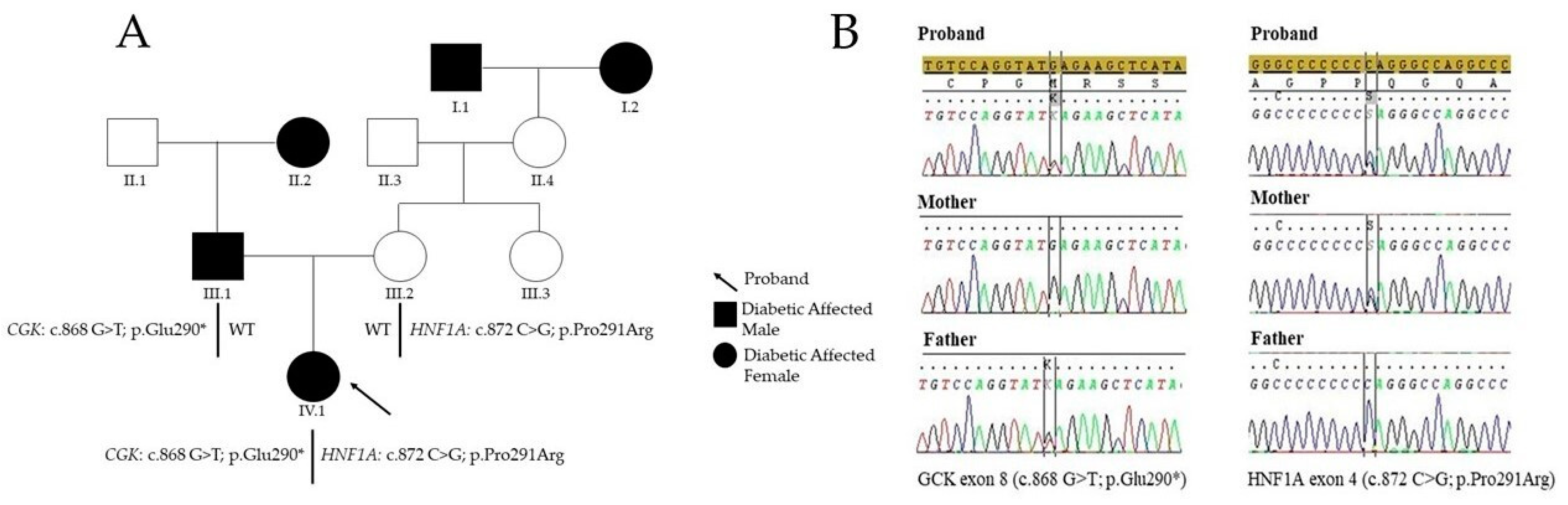 Diagnostics 11 01164 g001 Diagnostics 11 01164 g001