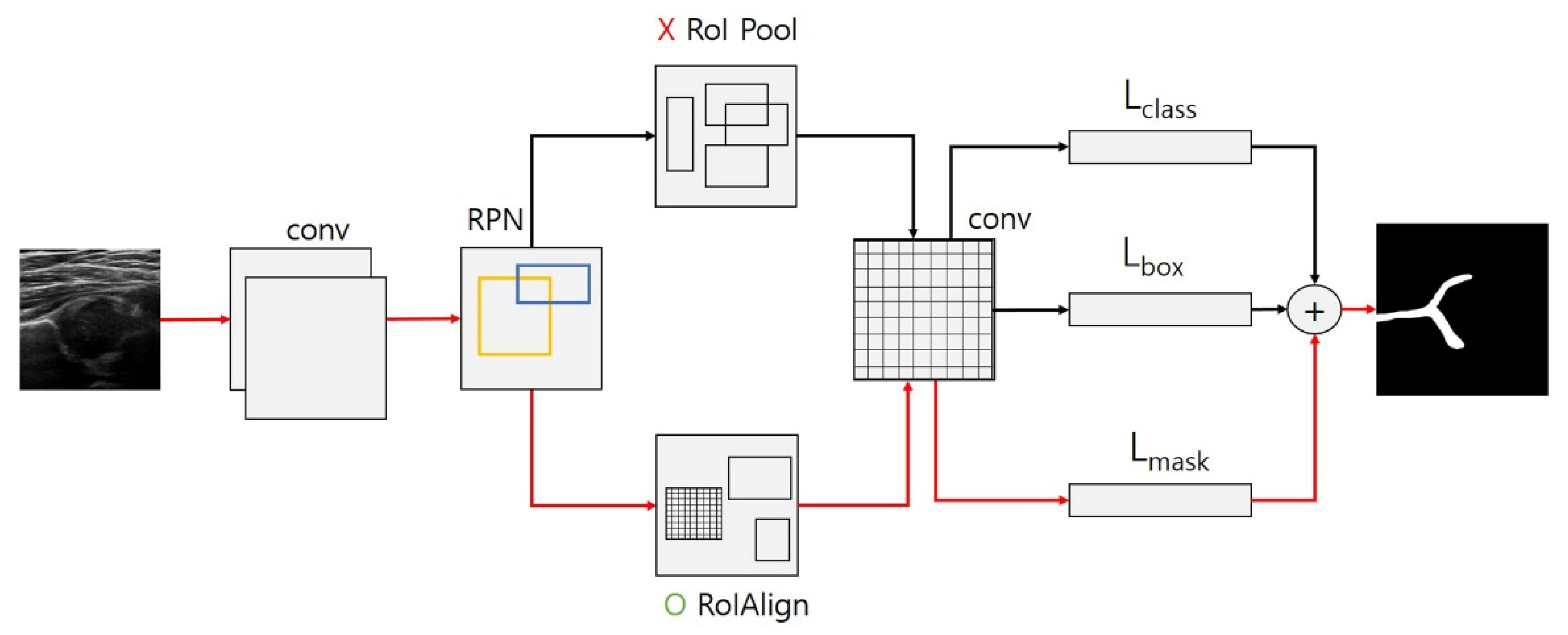 Diagnostics 11 01174 g003 Diagnostics 11 01174 g003