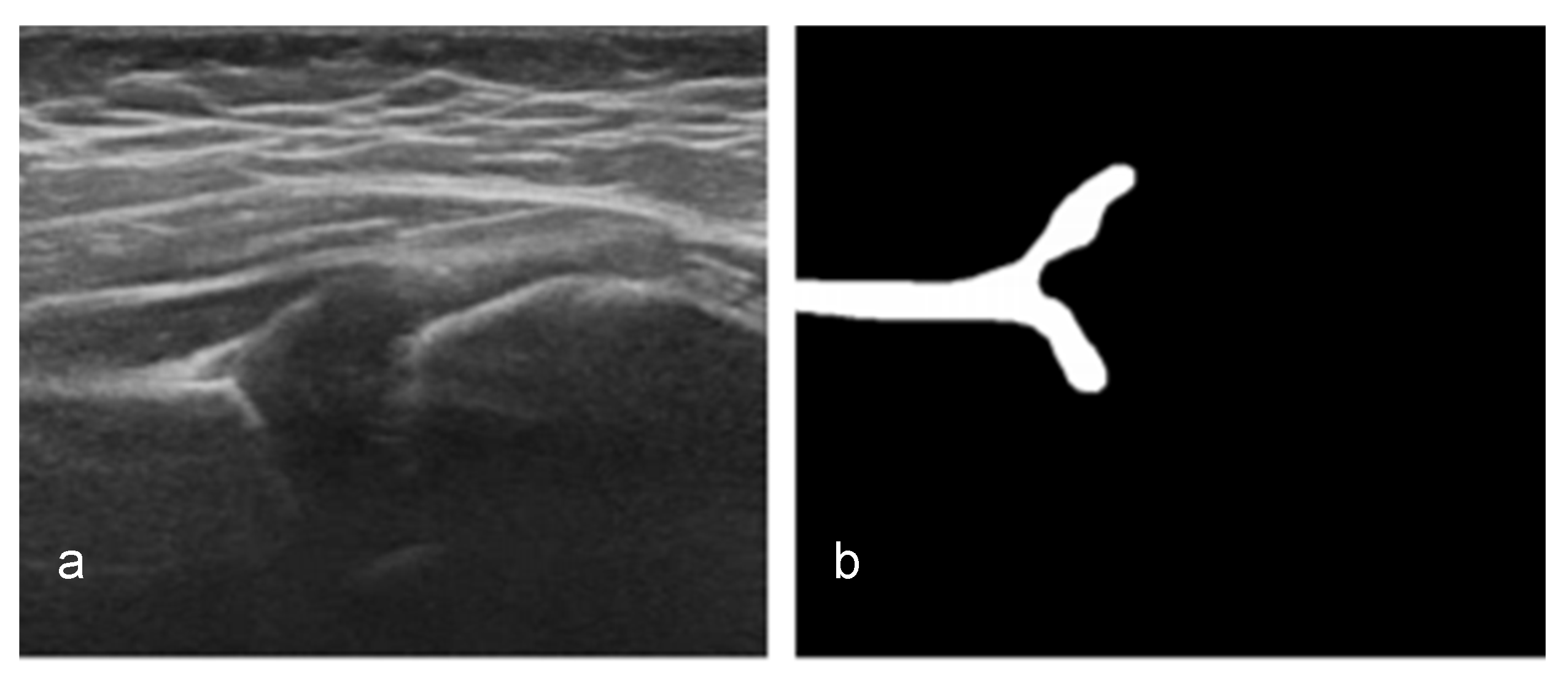 Diagnostics 11 01174 g005 Diagnostics 11 01174 g005