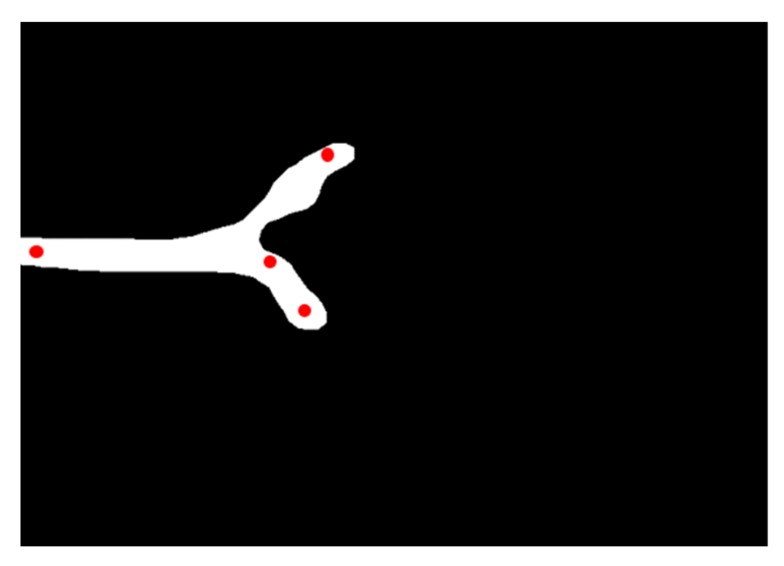 Diagnostics 11 01174 g006 Diagnostics 11 01174 g006