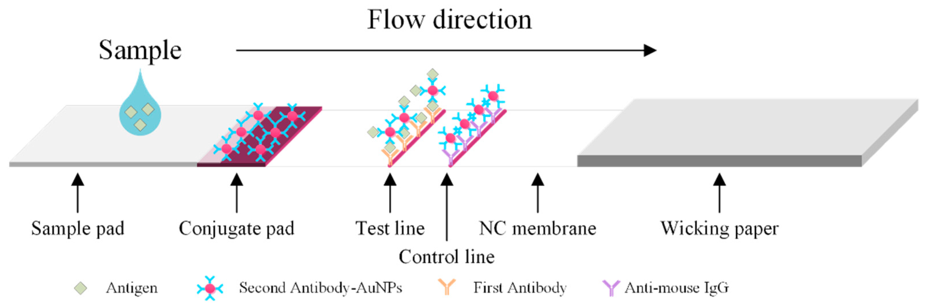 Diagnostics 11 01179 g001 Diagnostics 11 01179 g001