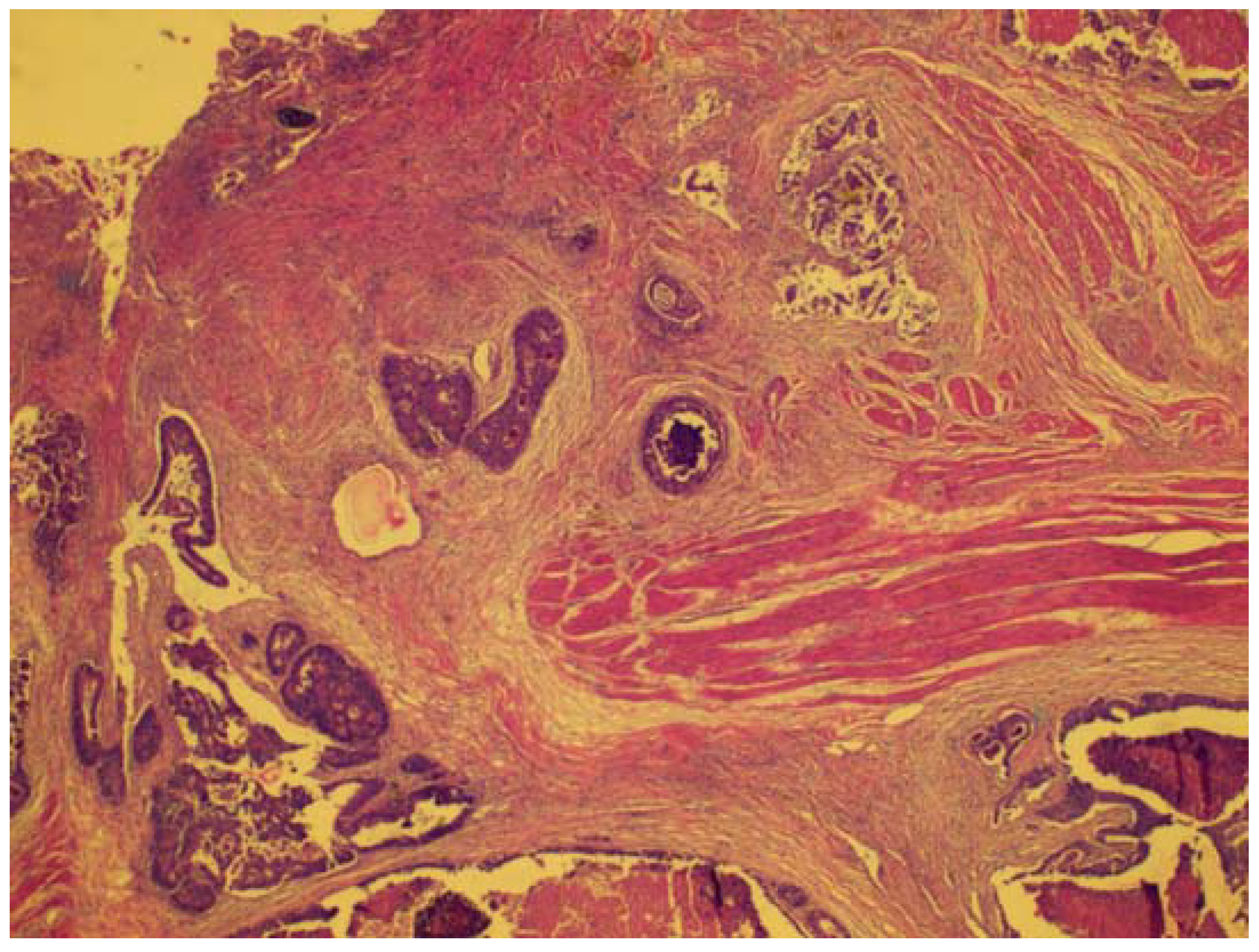 Diagnostics 11 01180 g001