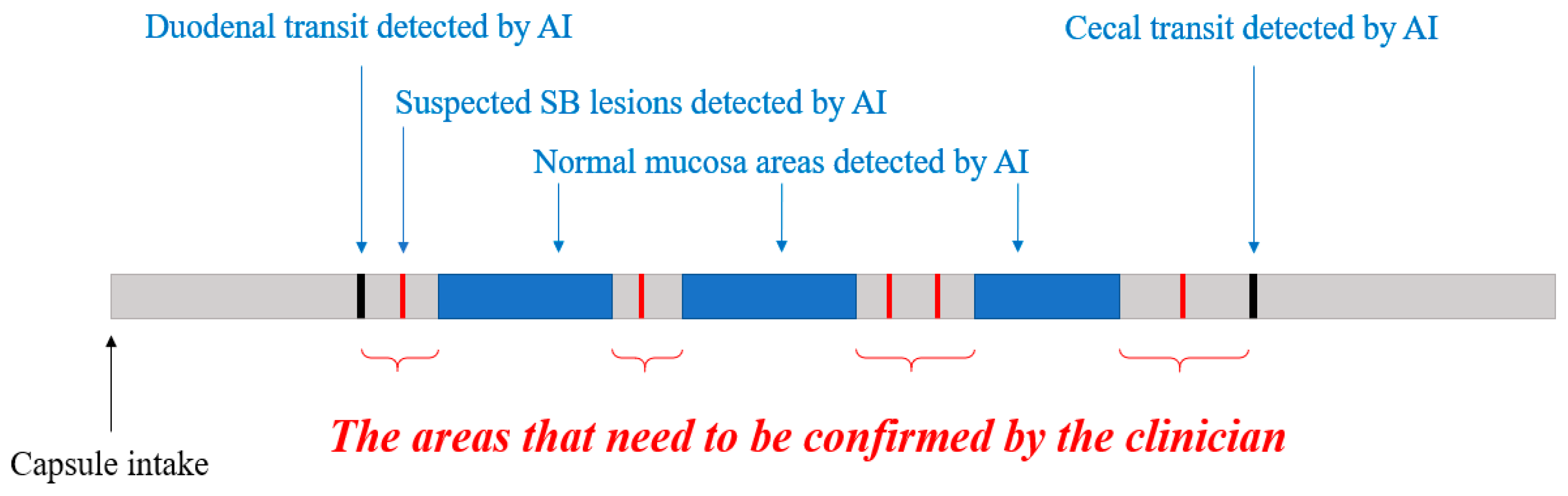 Diagnostics 11 01183 g002