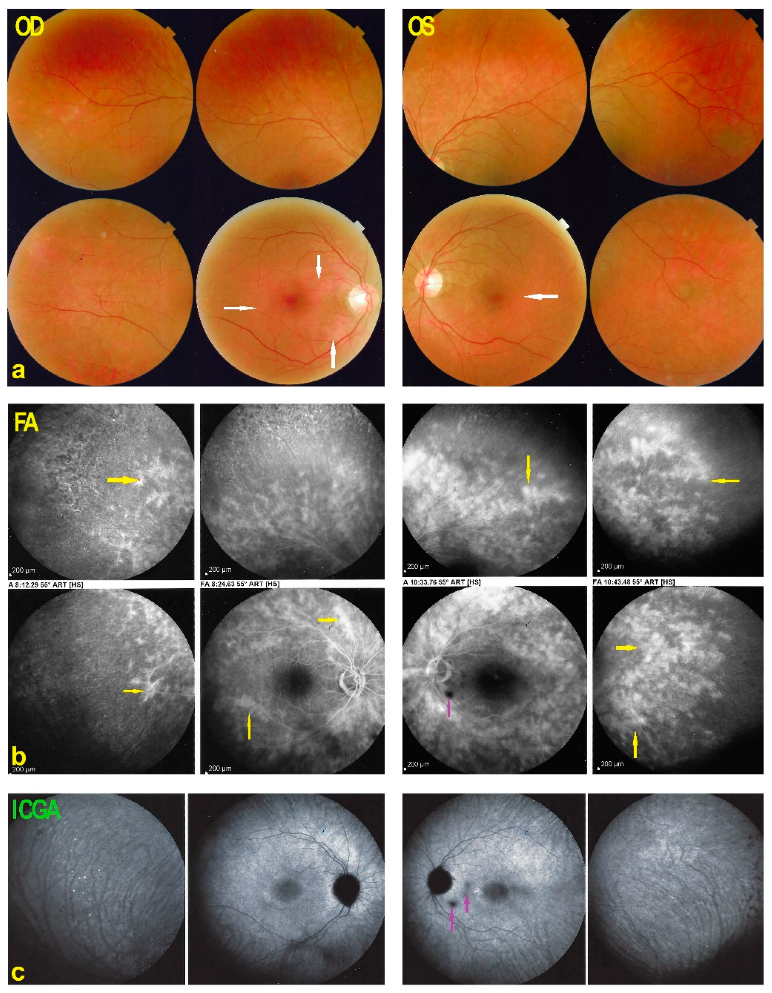 Diagnostics 11 01184 g010 550