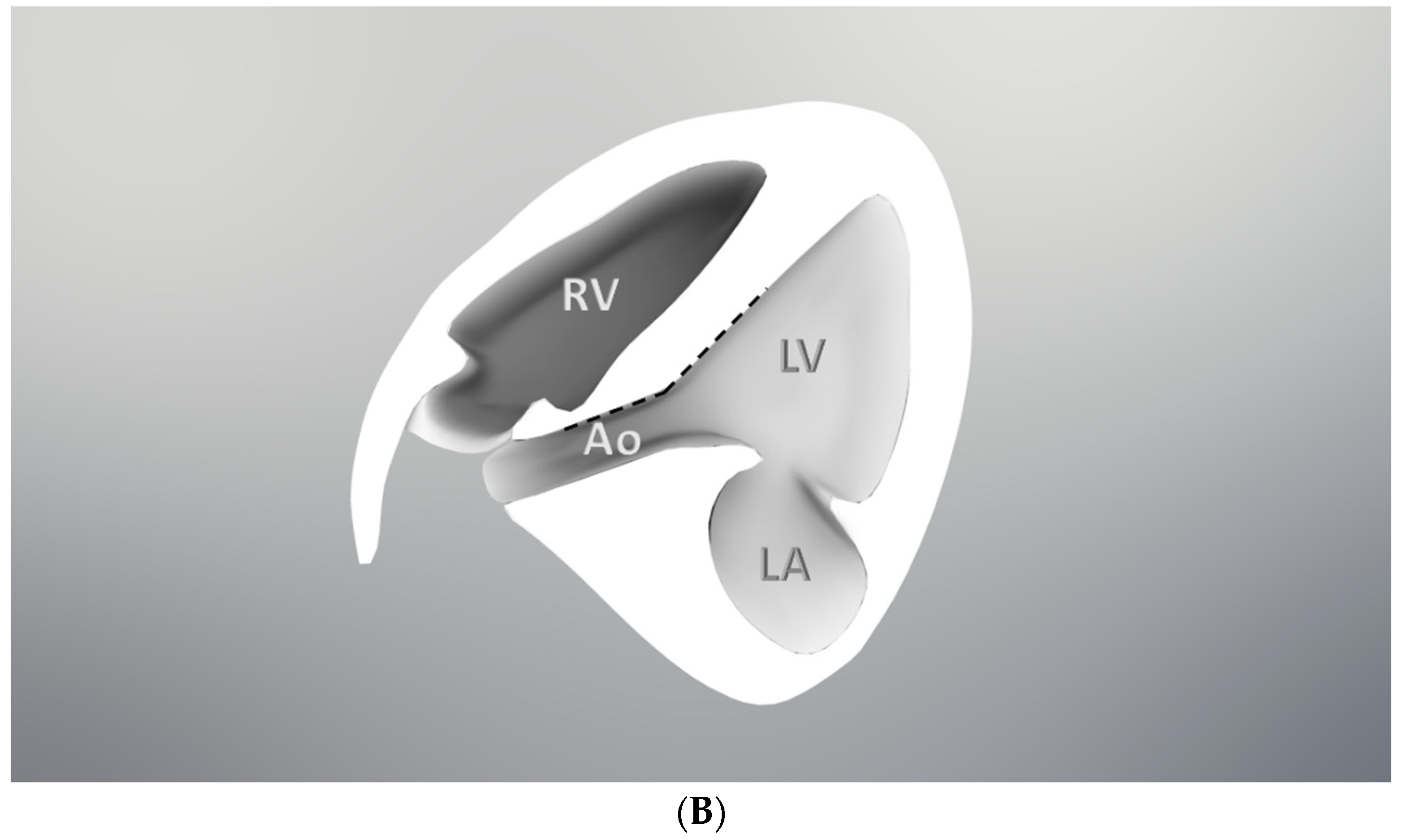 Diagnostics 11 01185 g001b