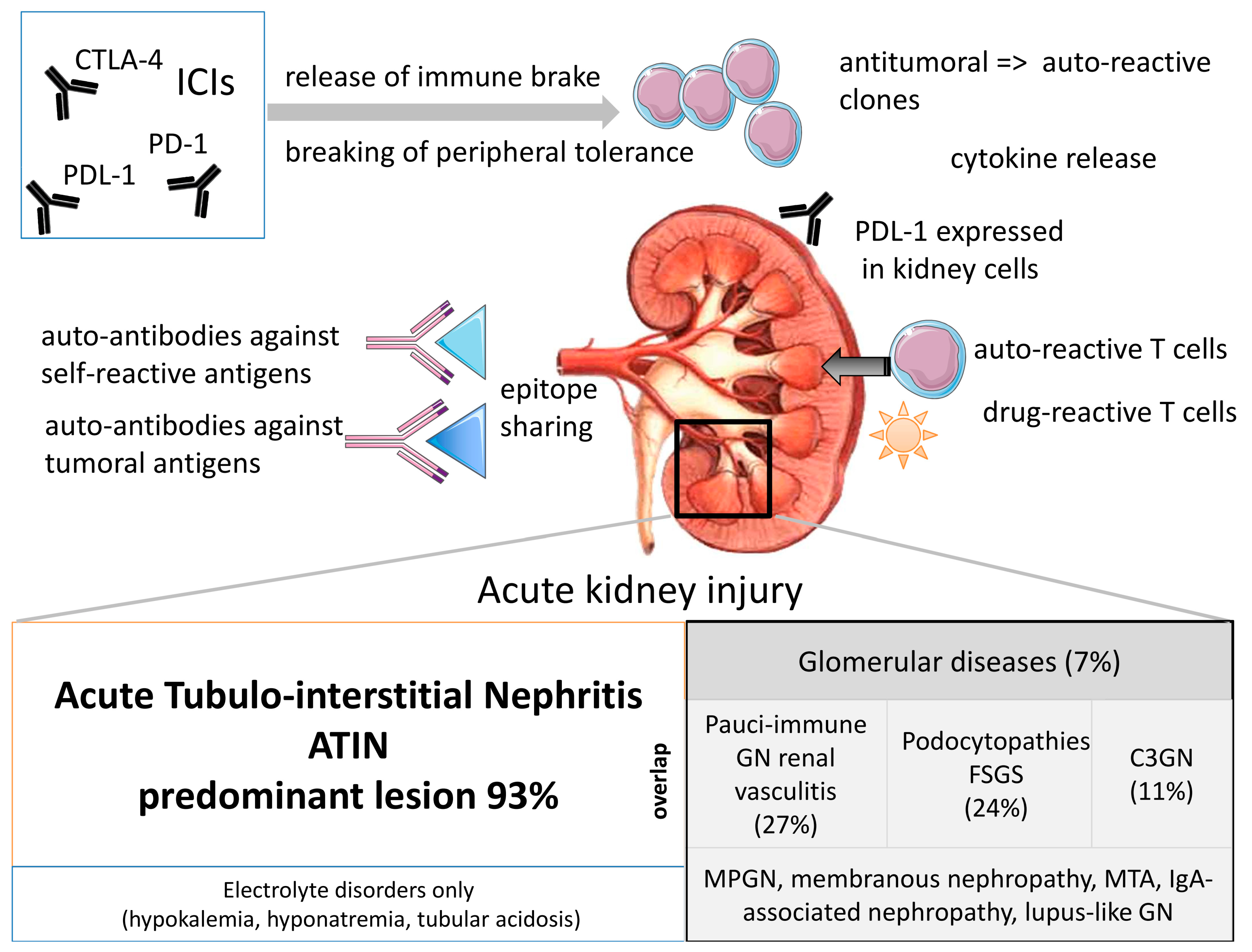 Diagnostics 11 01187 g001 550