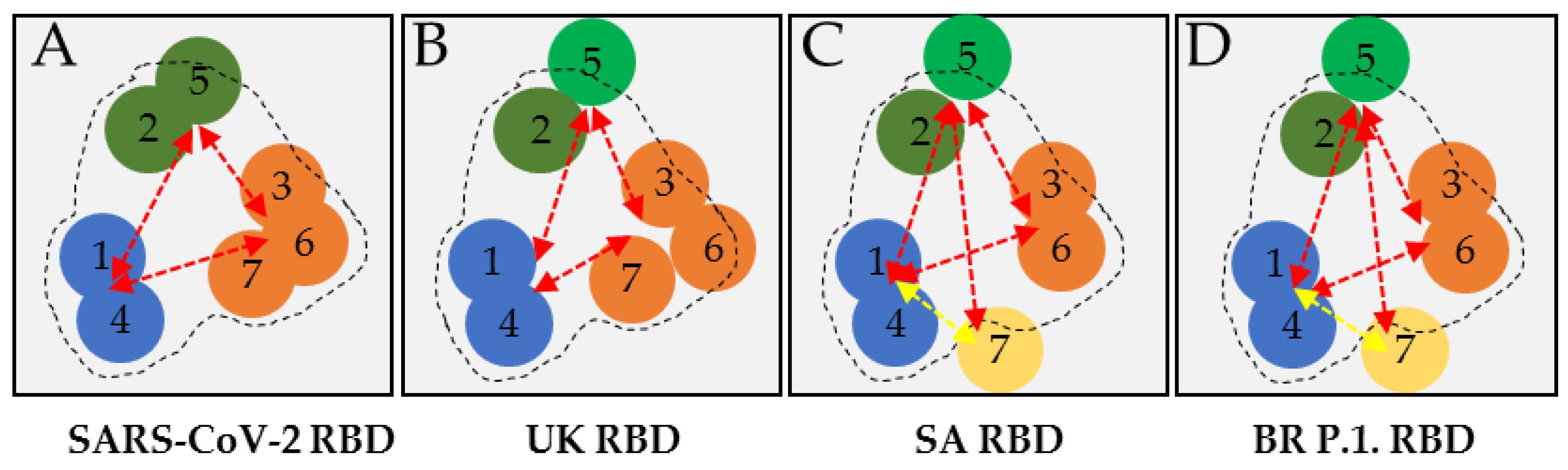 diagnostics free full text use of lateral flow immunoassay to characterize sars cov 2 rbd specific antibodies and their ability to react with the uk sa and br p 1 variant rbds html