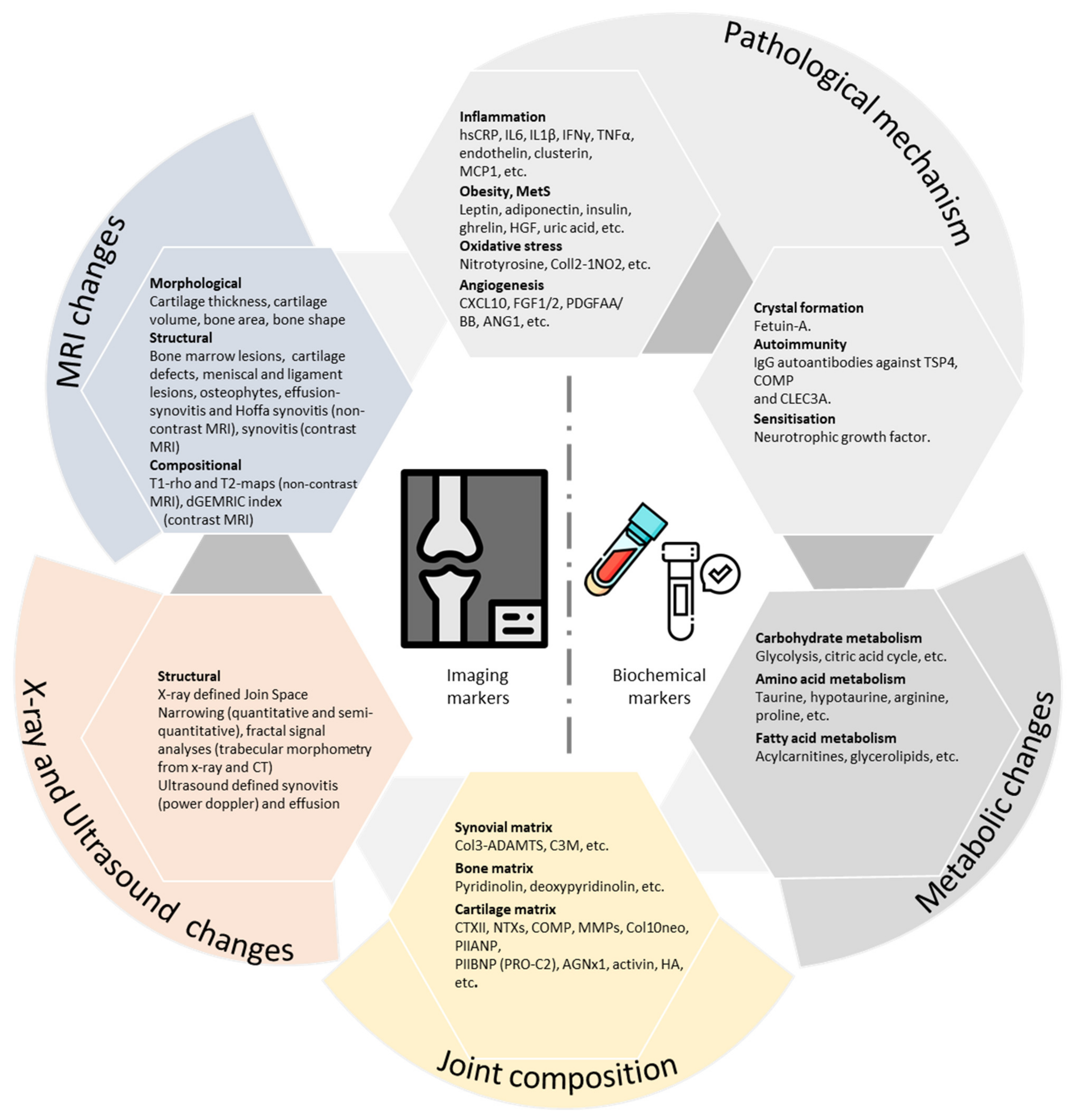 Diagnostics 11 01205 g001