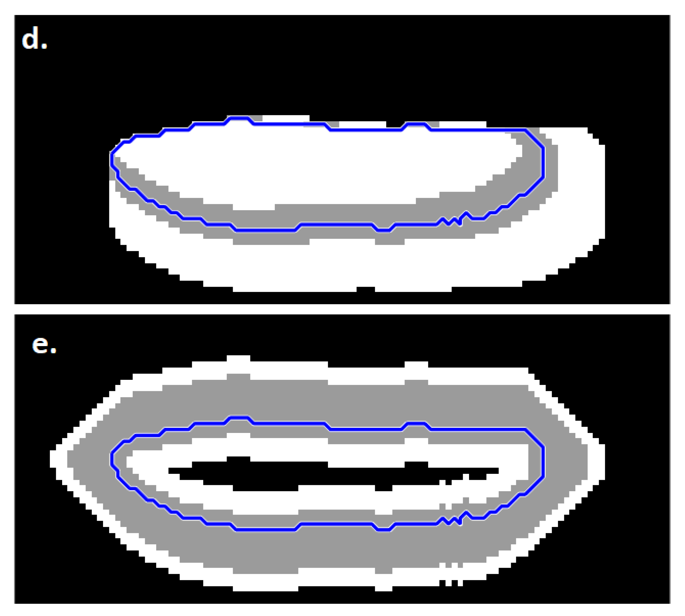 Diagnostics 11 01207 g006b