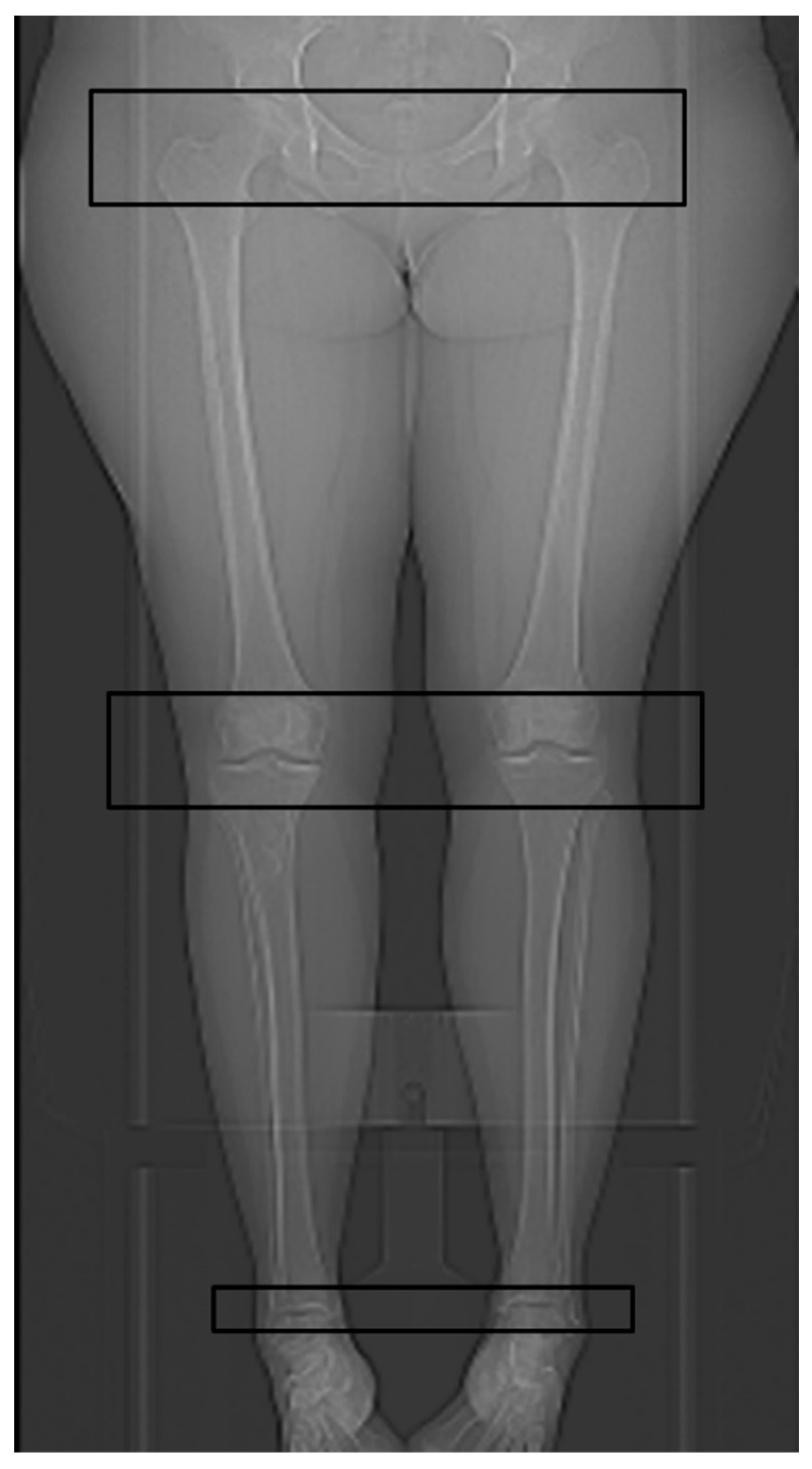 Diagnostics 11 01209 g002