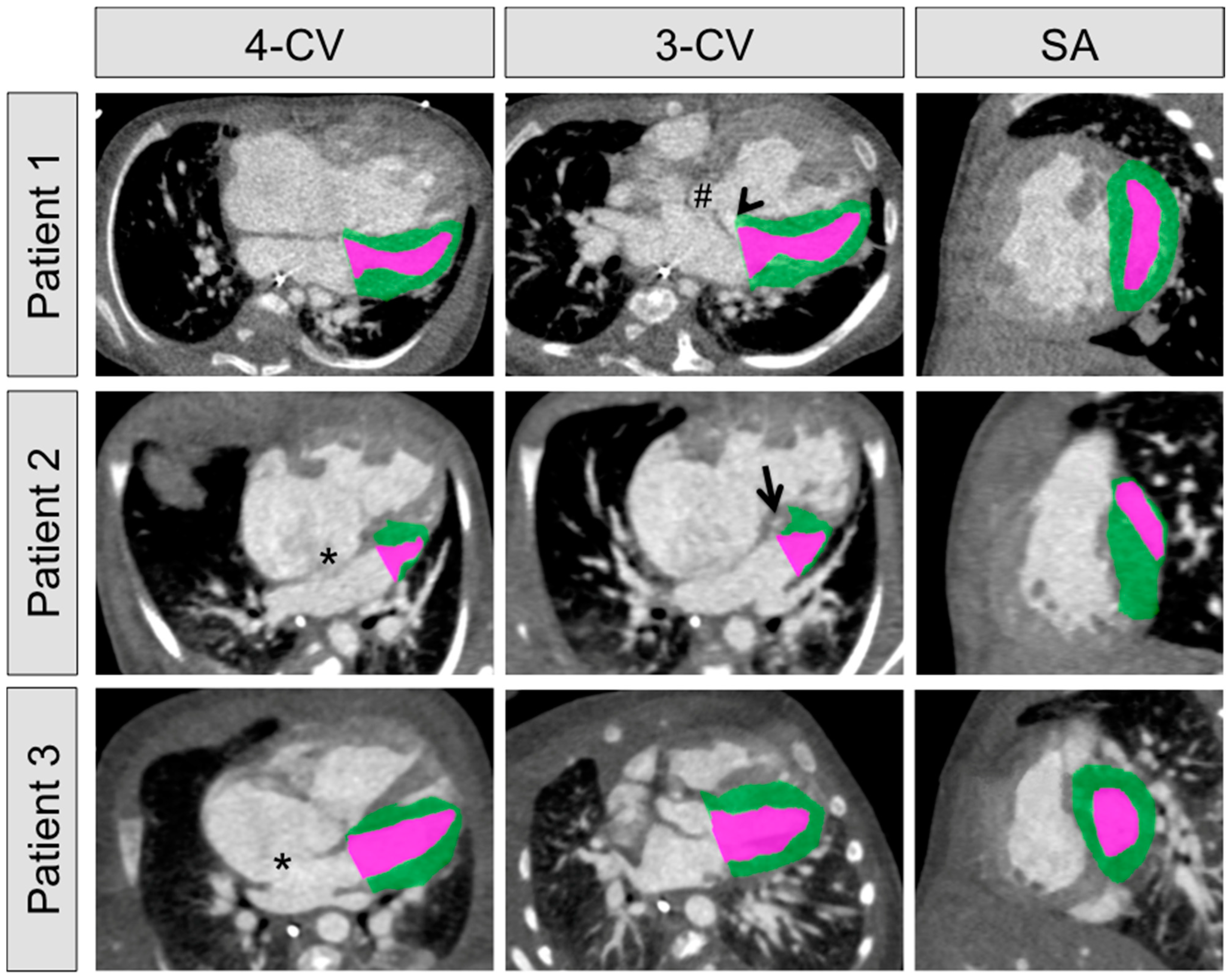 Diagnostics 11 01215 g001 Diagnostics 11 01215 g001