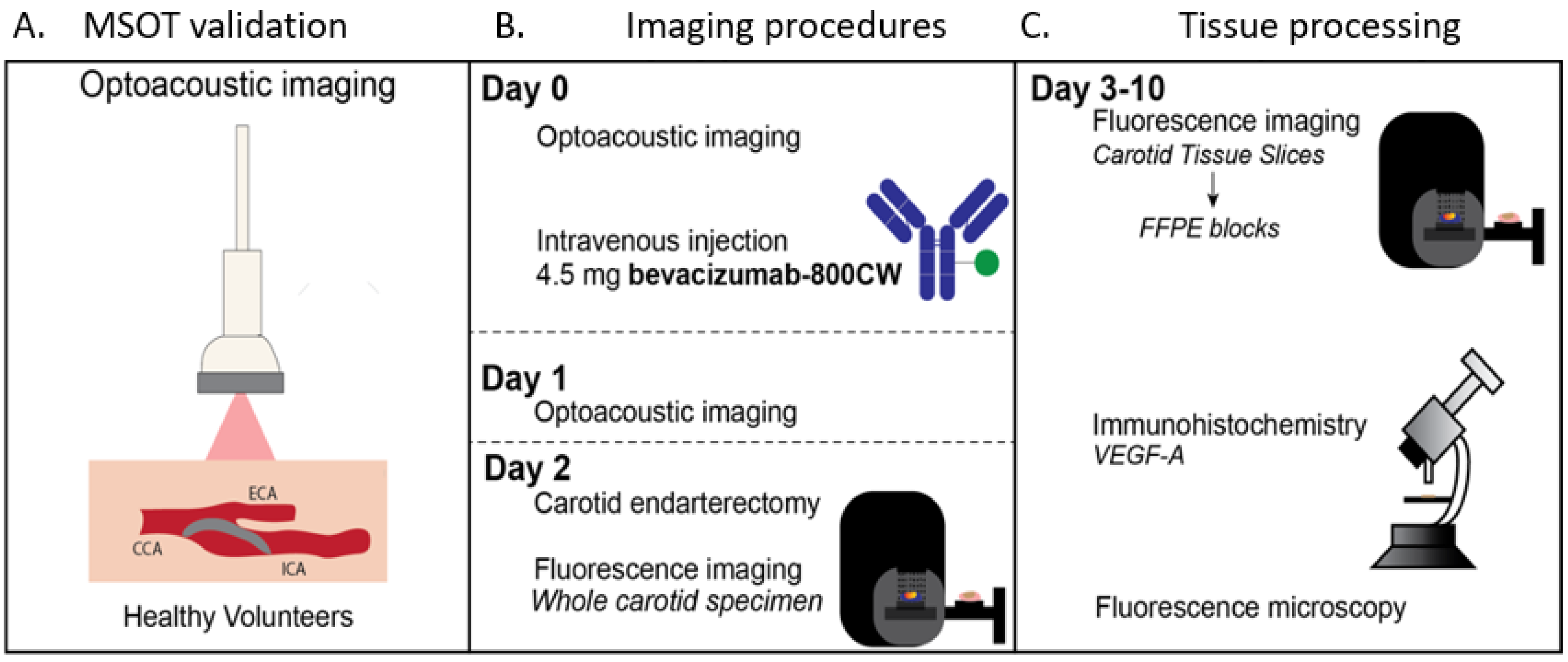 Diagnostics 11 01227 g001