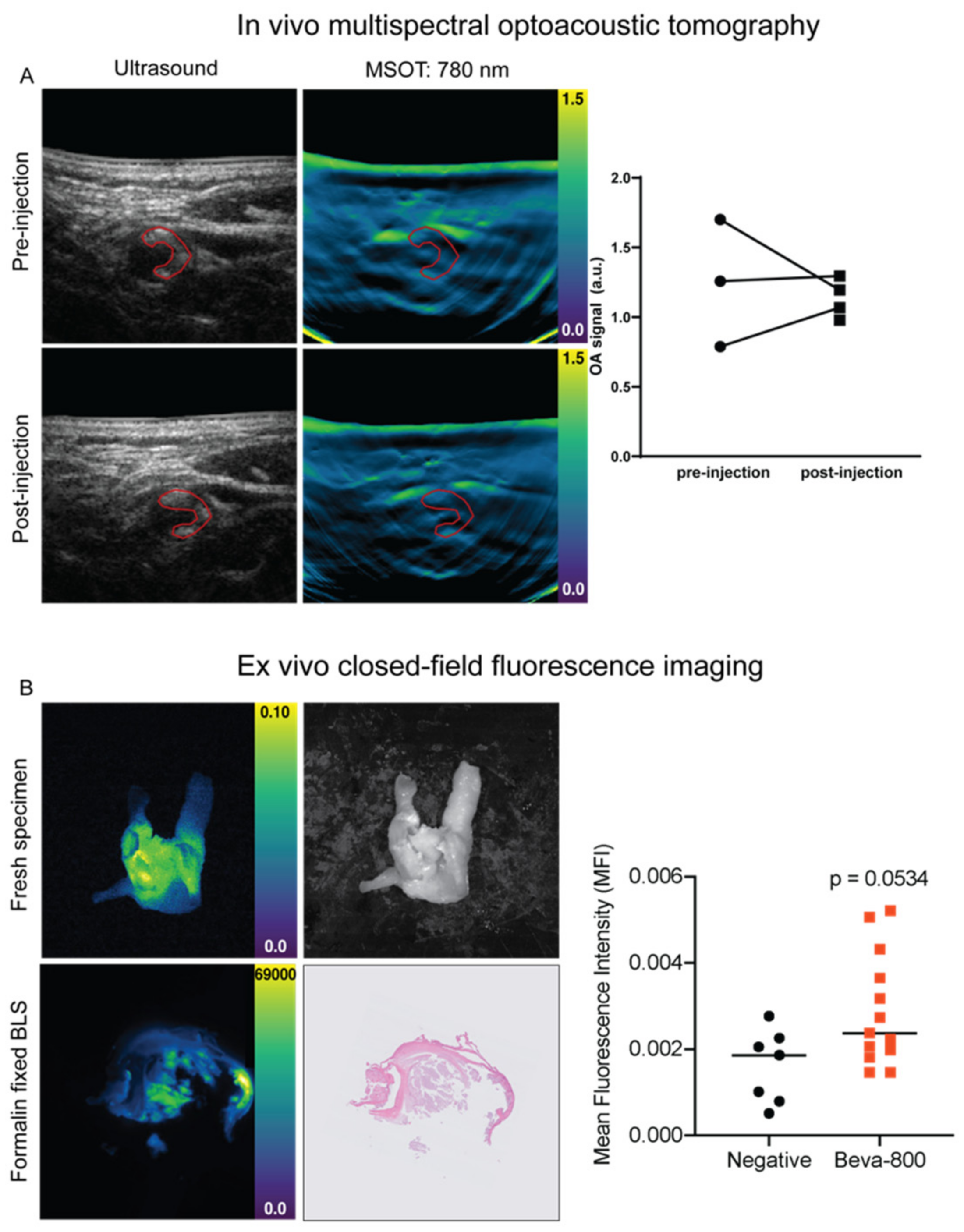 Diagnostics 11 01227 g003