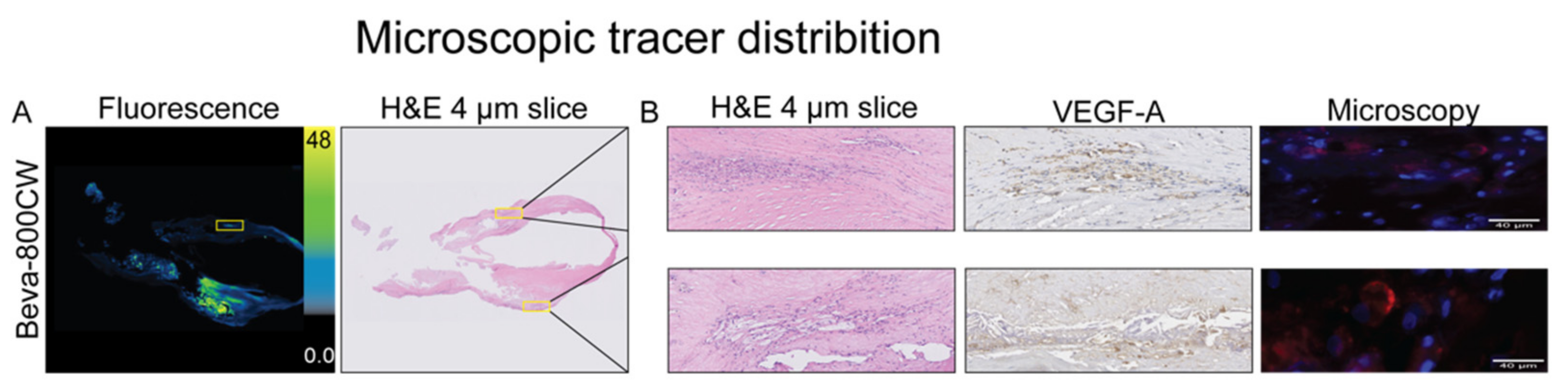 Diagnostics 11 01227 g004