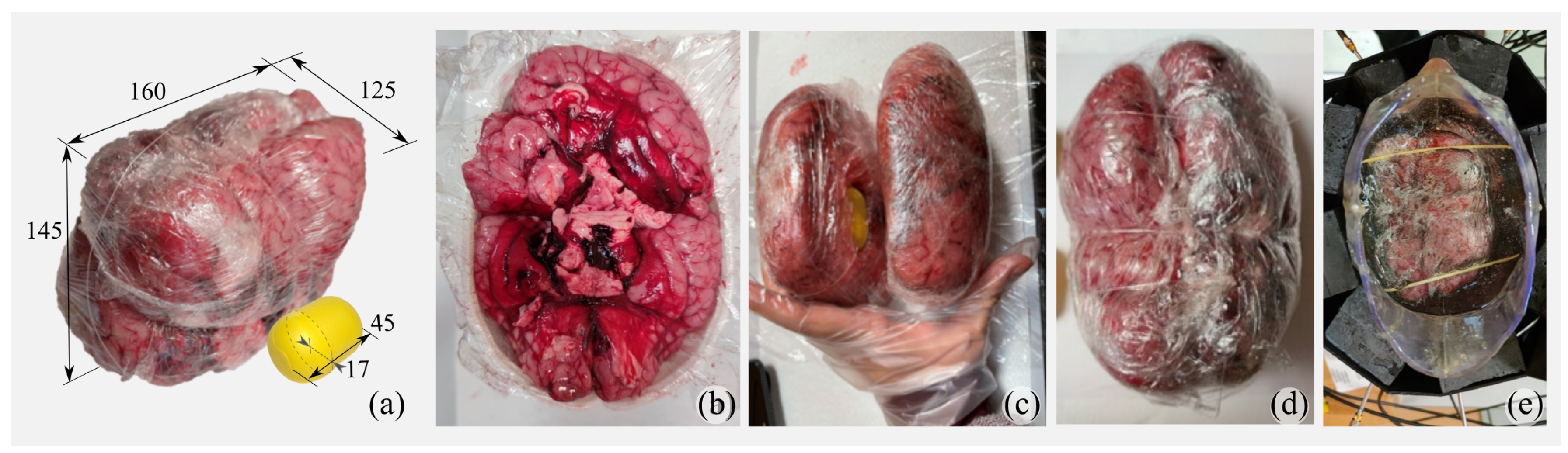 Diagnostics 11 01232 g003