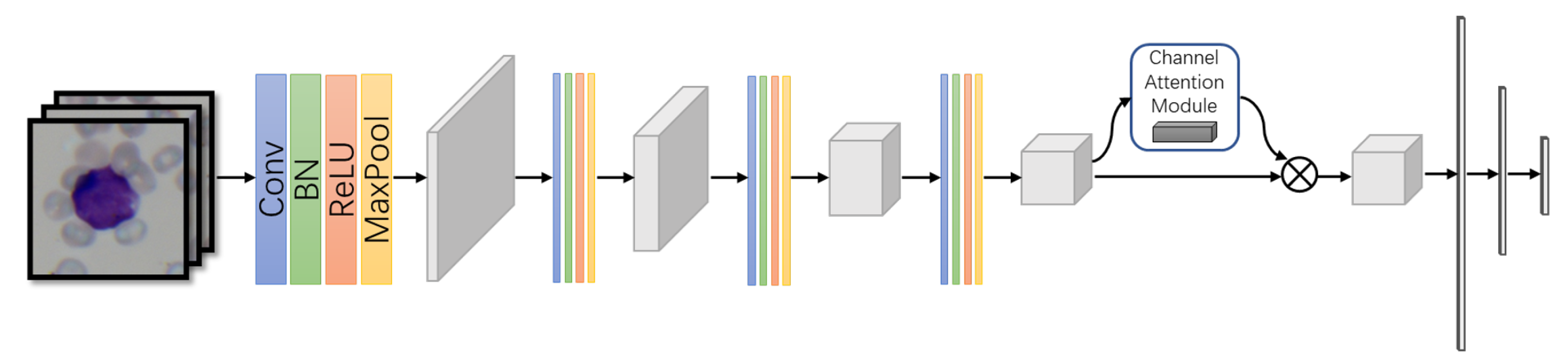 Diagnostics 11 01237 g002 550