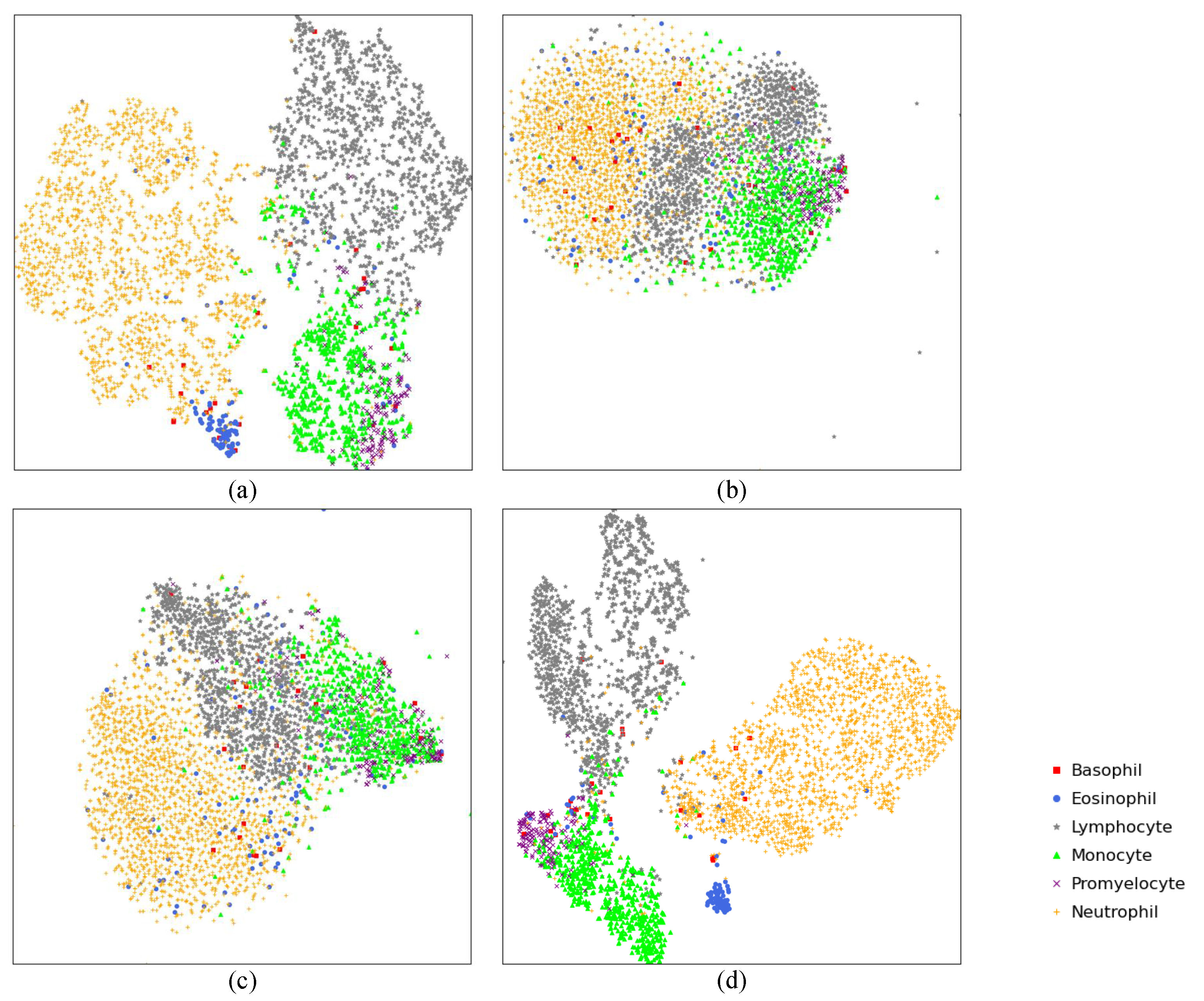 Diagnostics 11 01237 g005 550