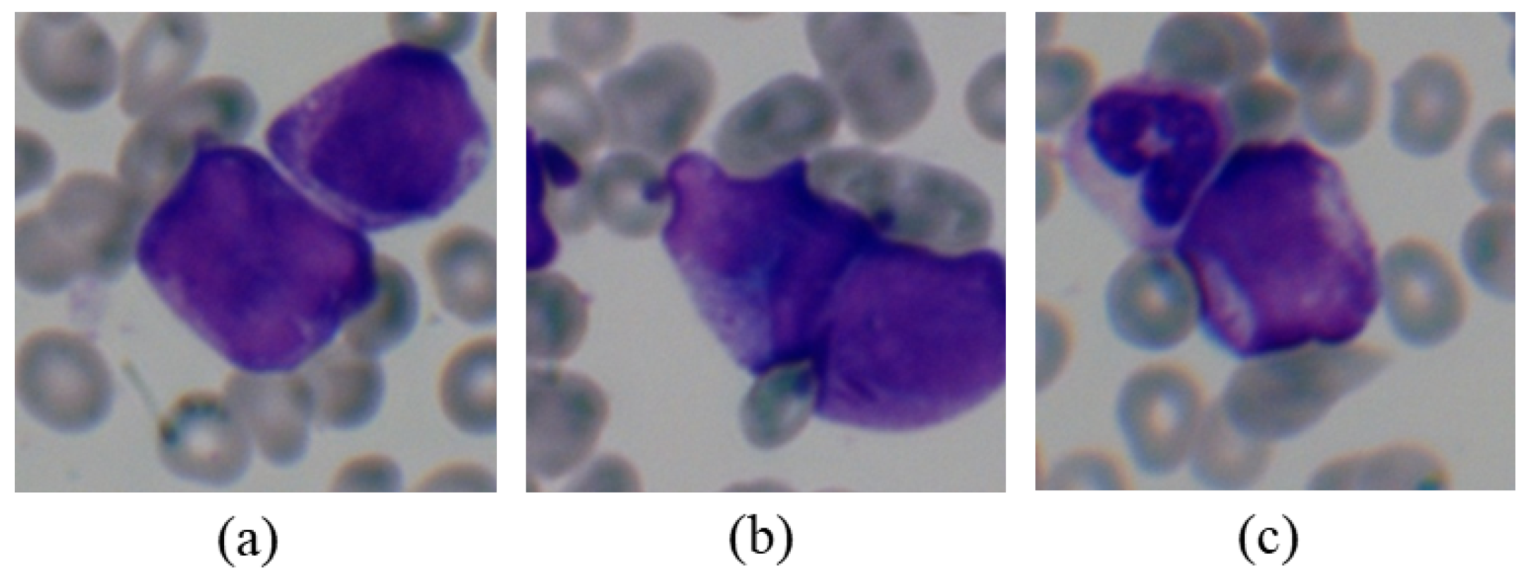 Diagnostics 11 01237 g006 550