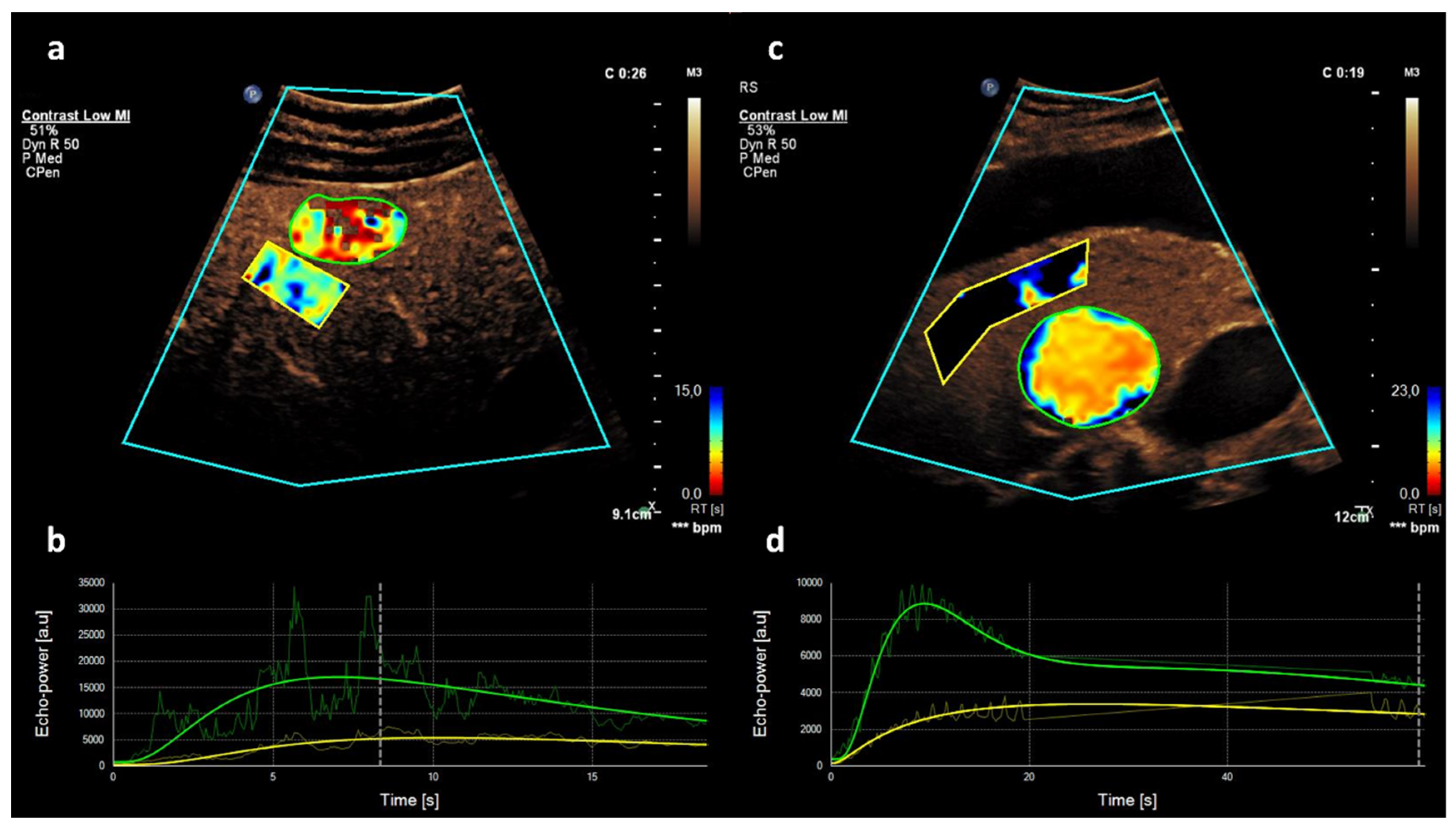 Diagnostics 11 01244 g002