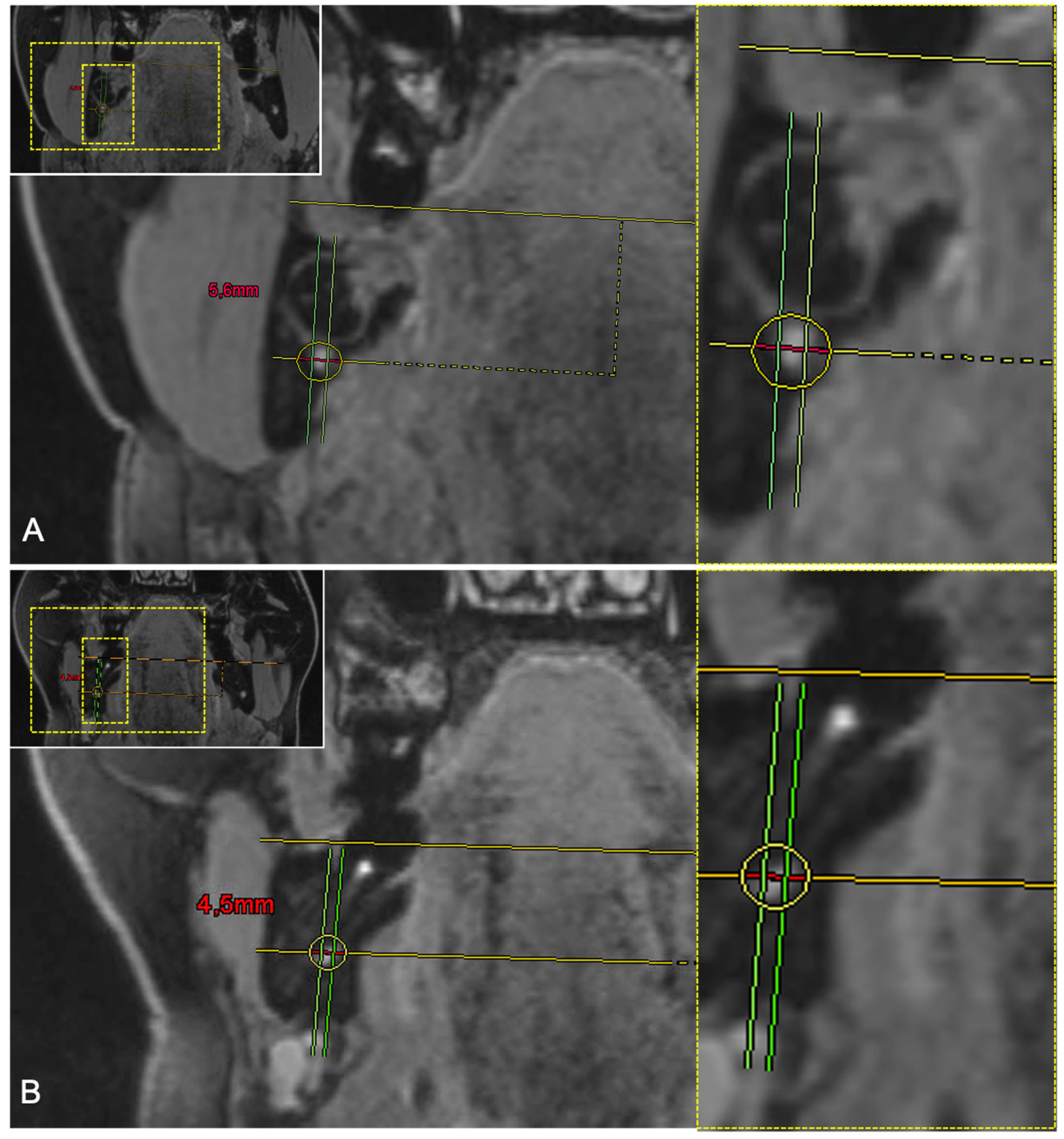 Diagnostics 11 01245 g003