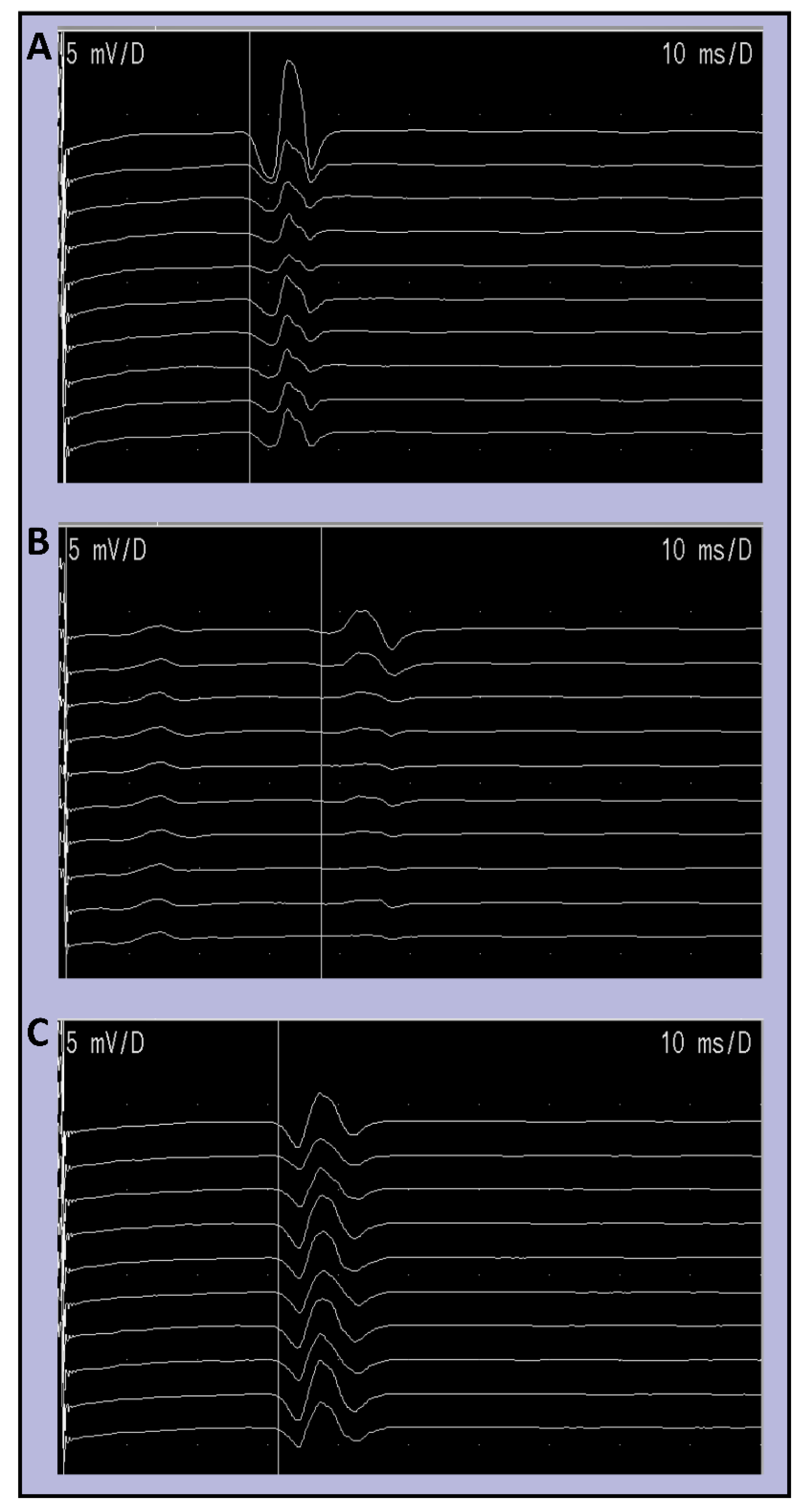 Diagnostics 11 01247 g001