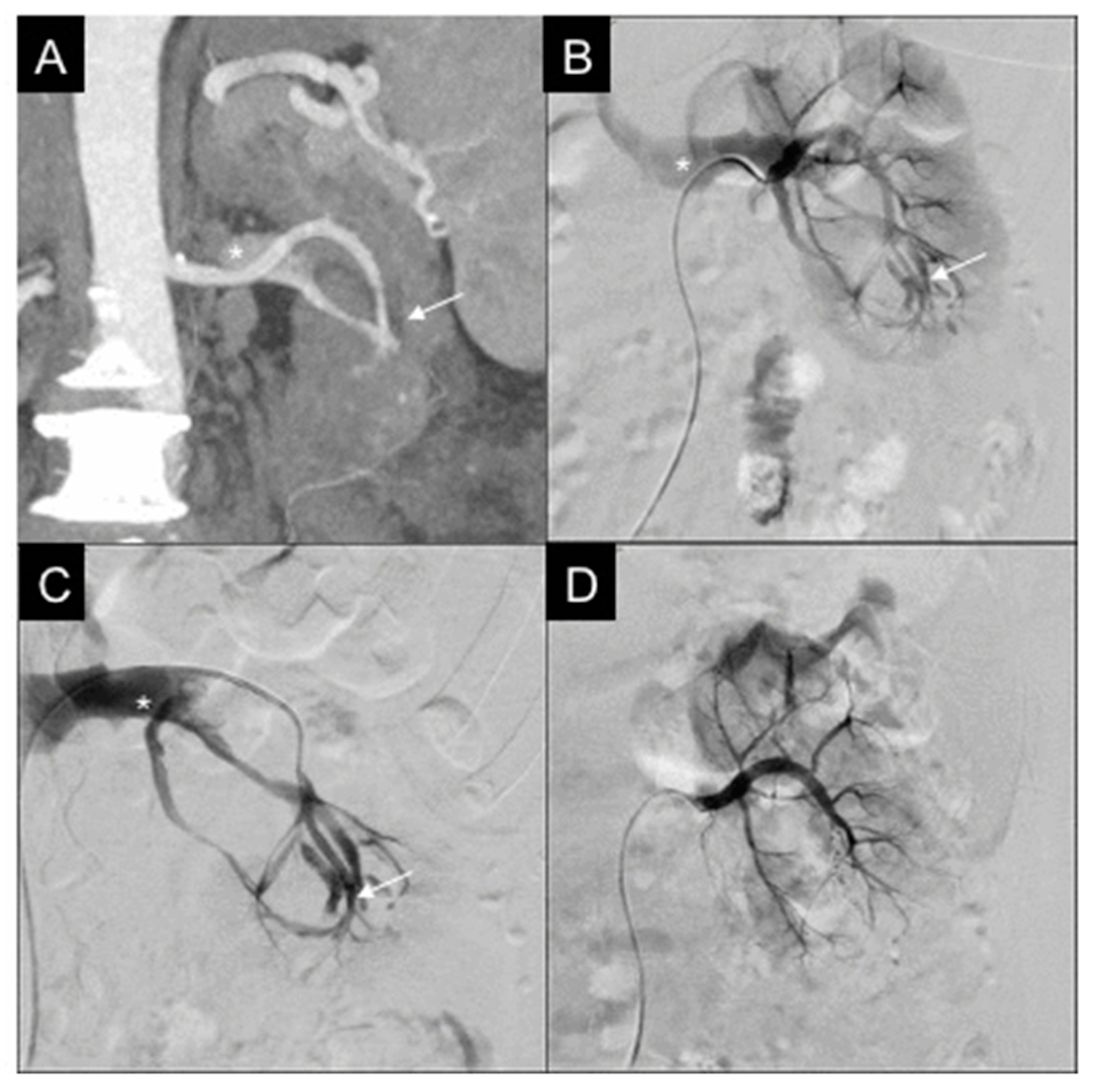 Diagnostics 11 01256 g002