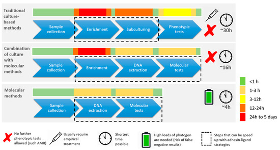 m_r_i The role of hypoxic signalling in metastasis: towards